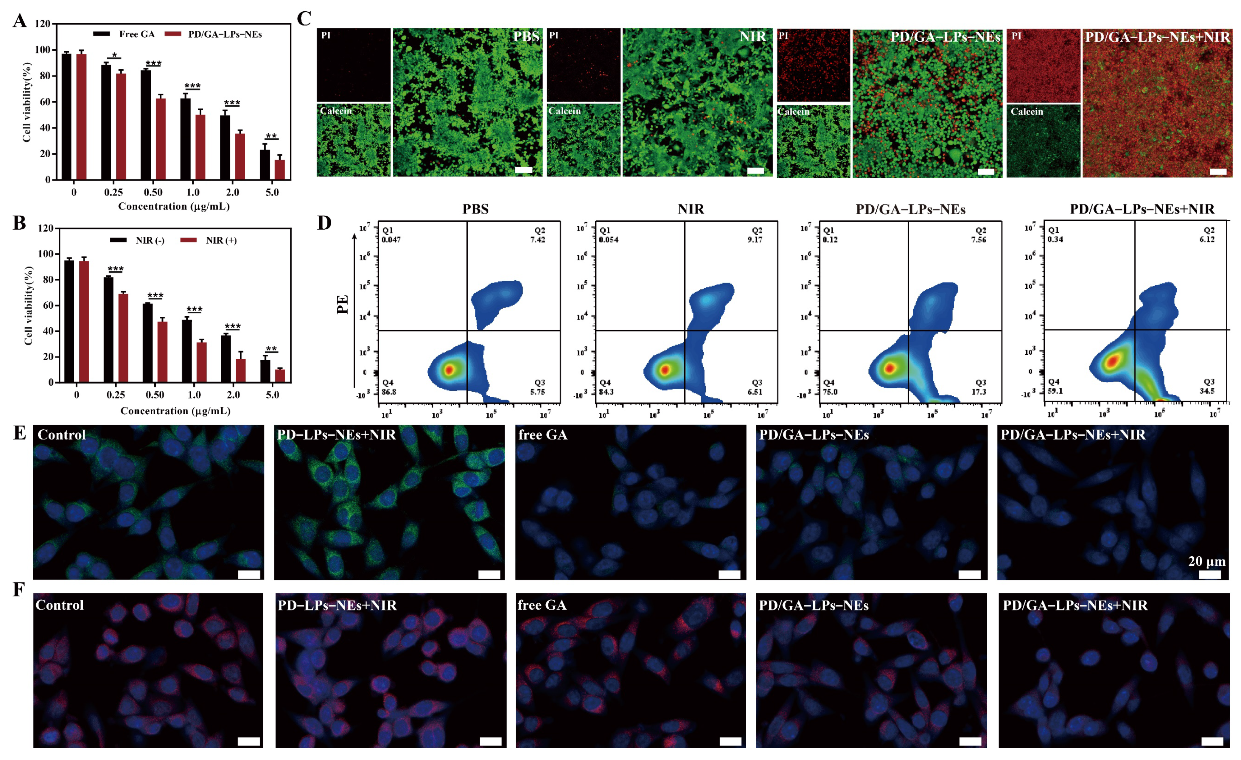 Pharmaceutics 17 00614 g003