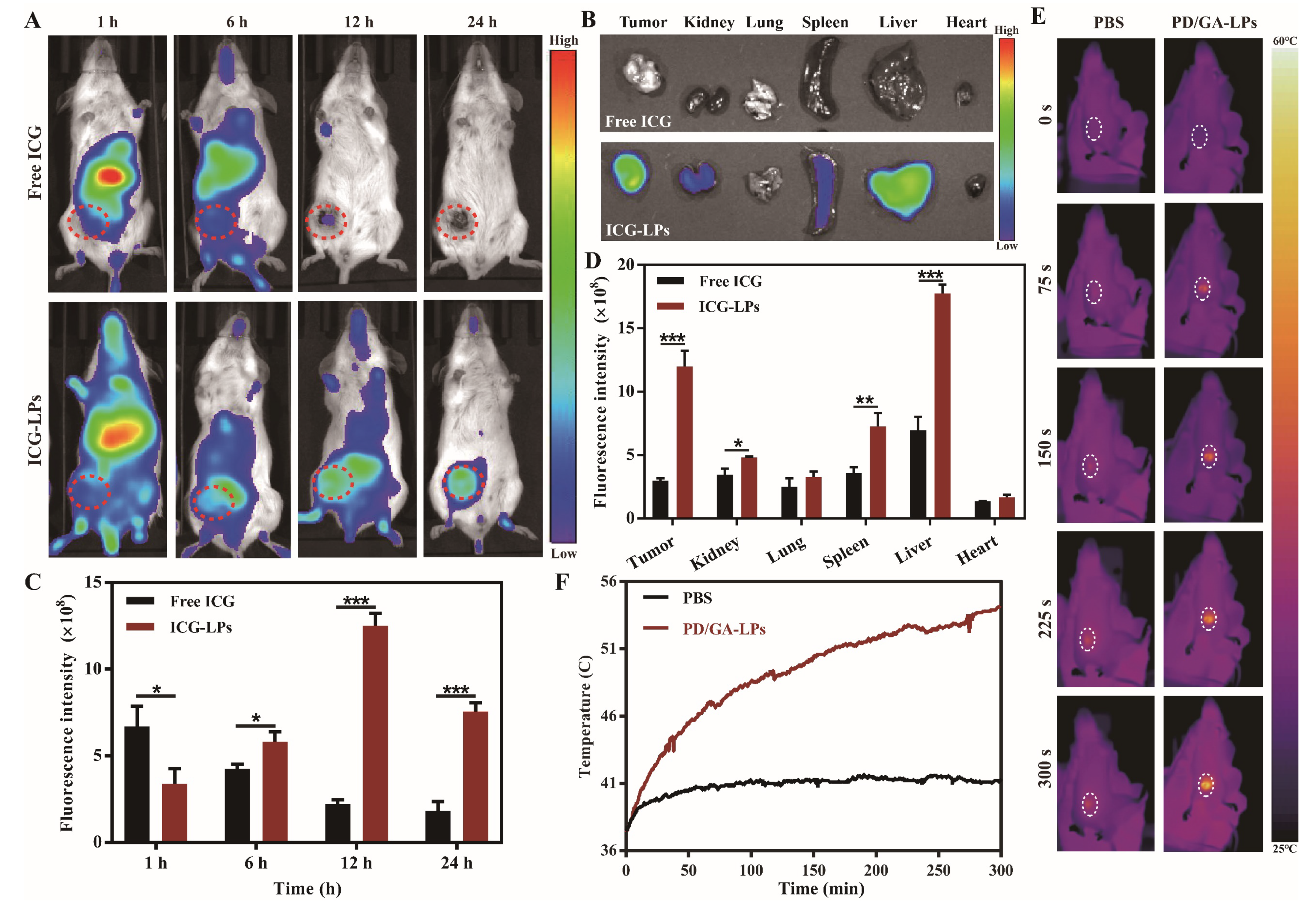 Pharmaceutics 17 00614 g005
