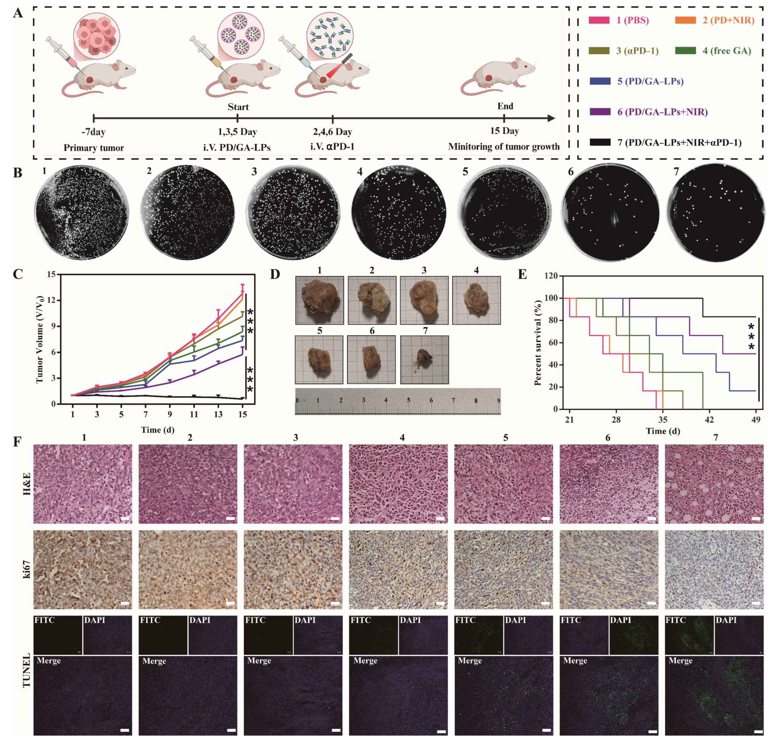 Pharmaceutics 17 00614 g006