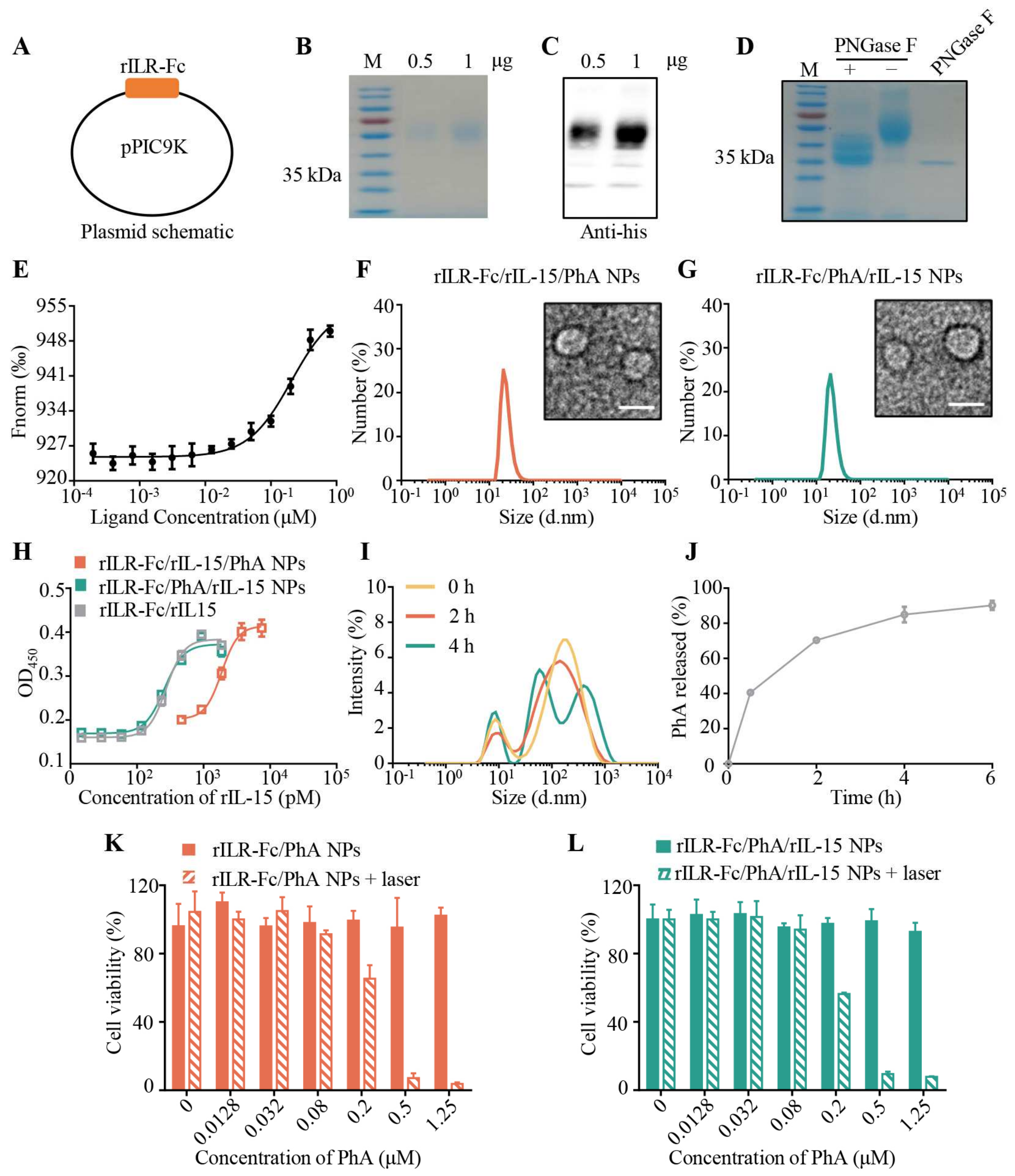 Pharmaceutics 17 00615 g001