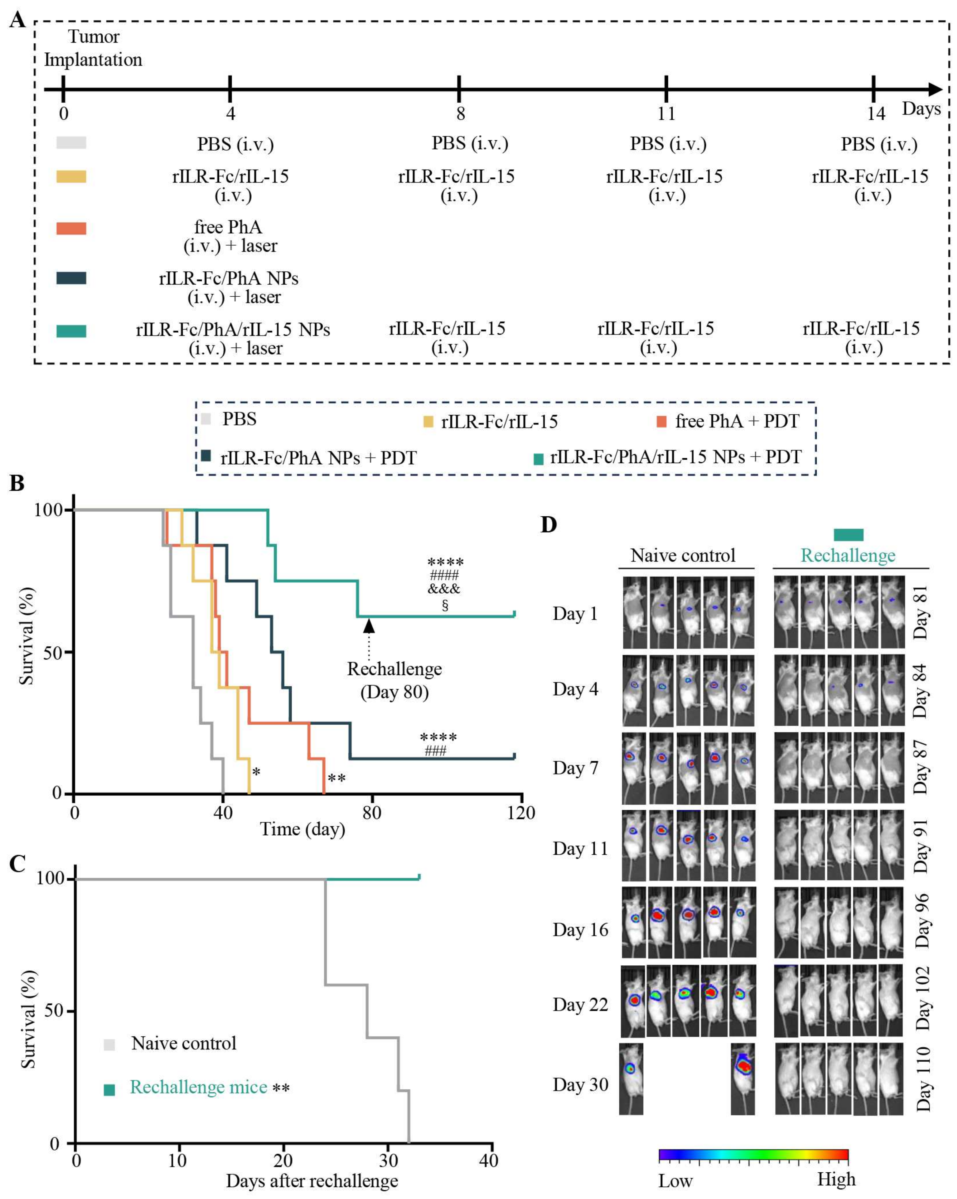 Pharmaceutics 17 00615 g006