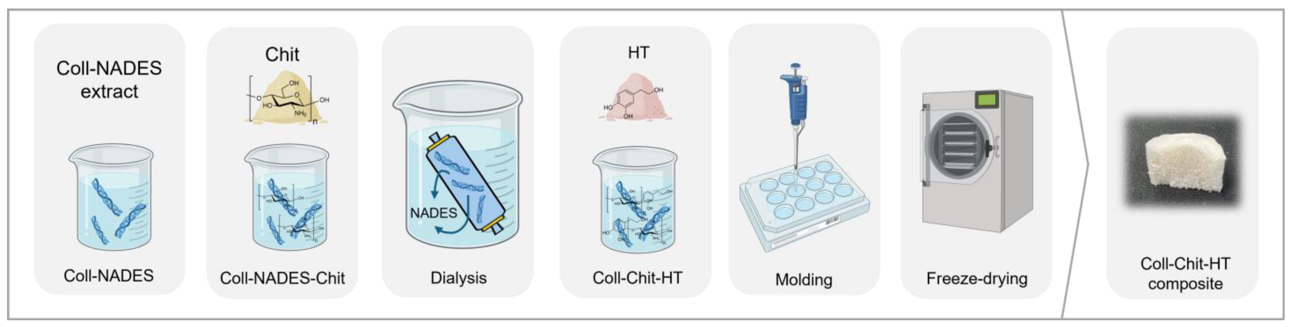 Pharmaceutics 17 00618 g001