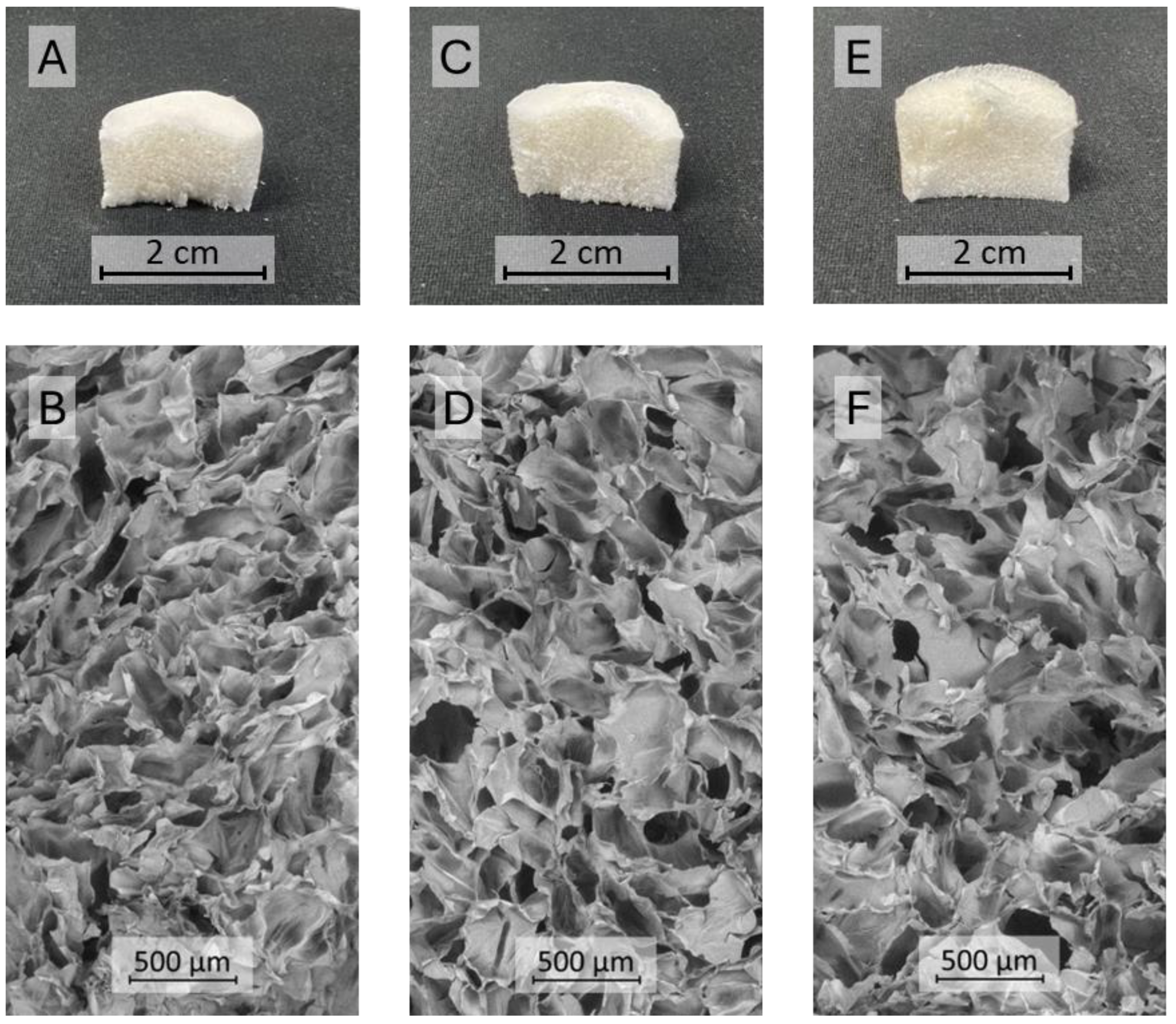 Pharmaceutics 17 00618 g002