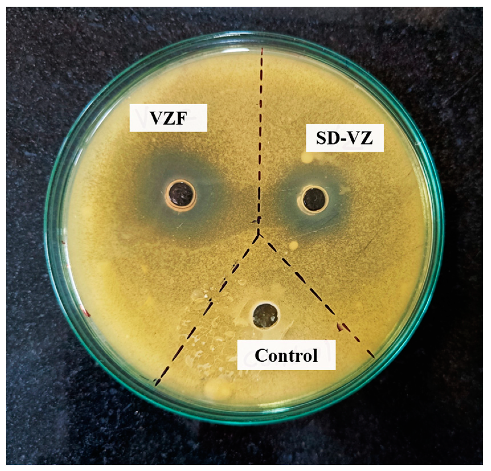 Pharmaceutics 17 00622 g012 Pharmaceutics 17 00622 g012