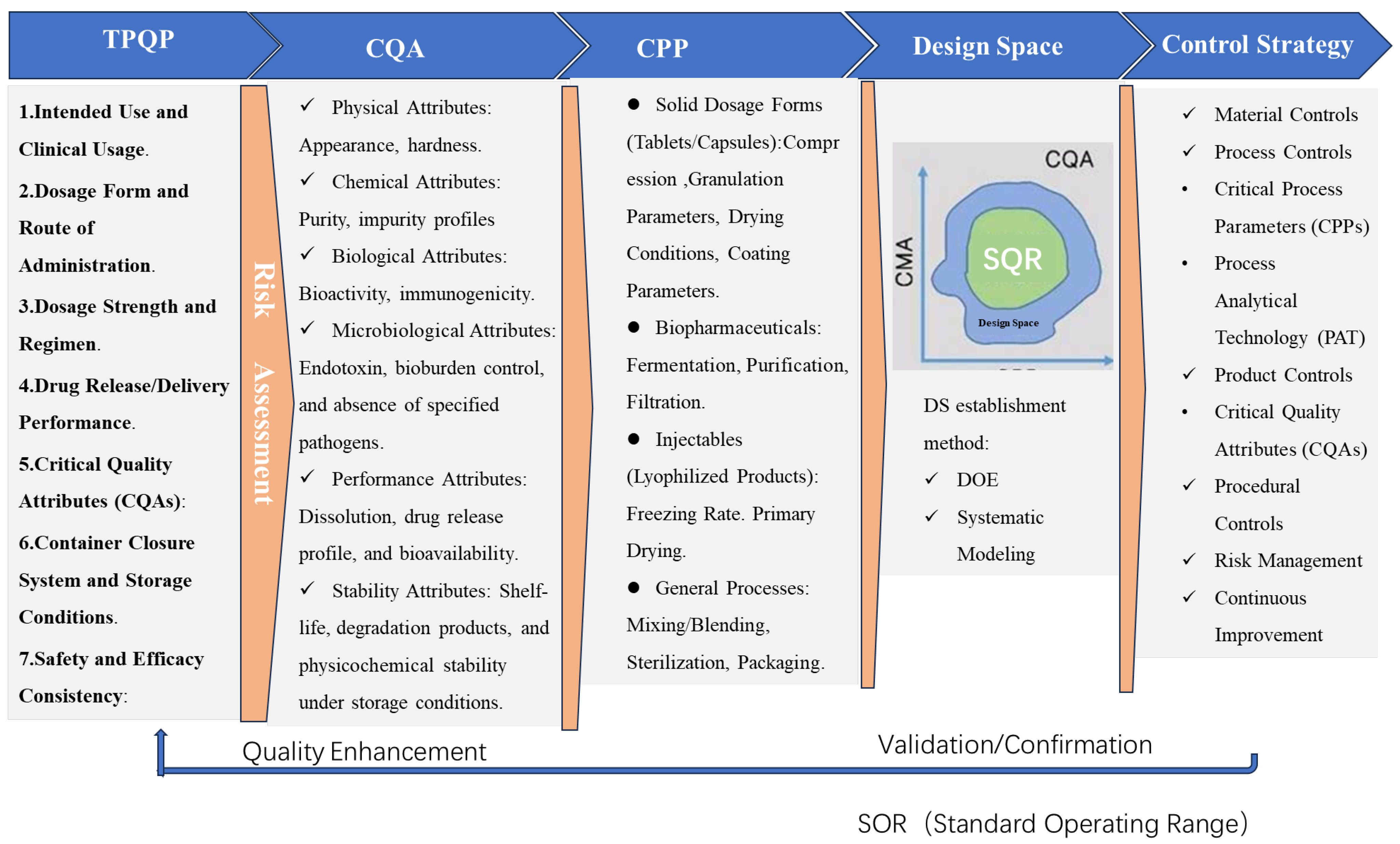 Pharmaceutics 17 00623 g001