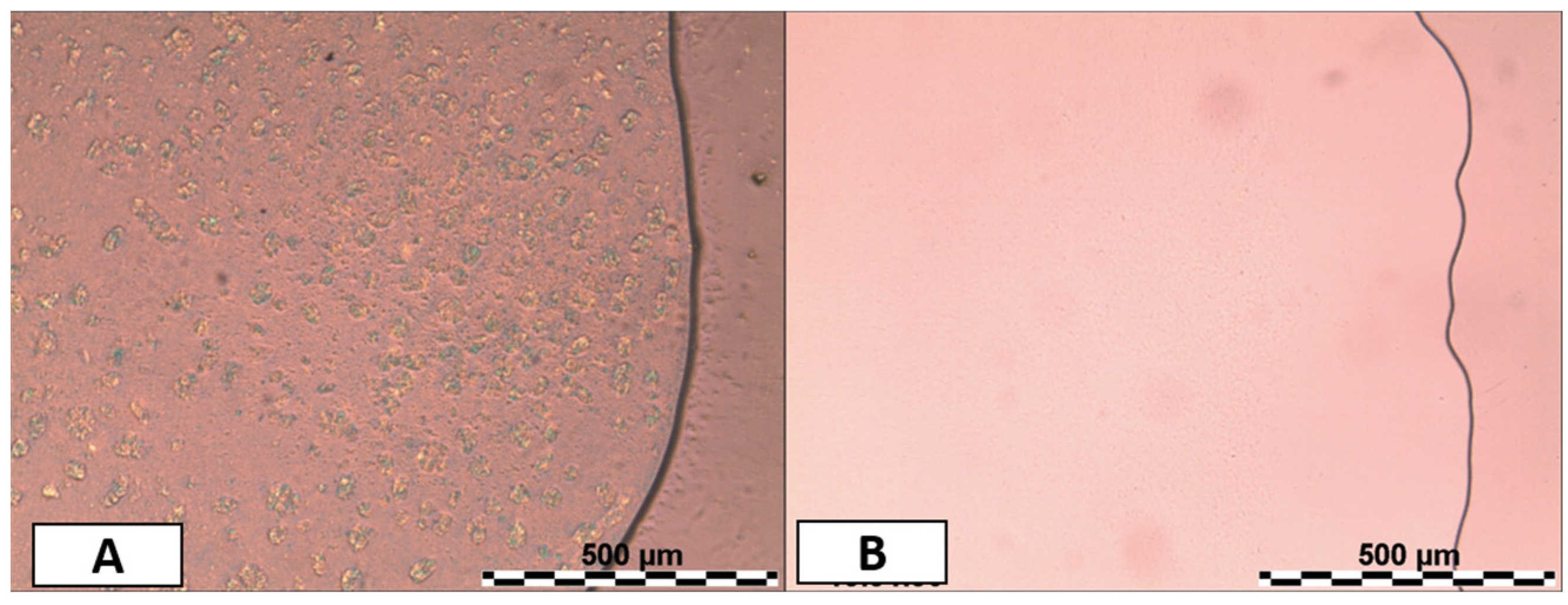 Pharmaceutics 17 00625 g001