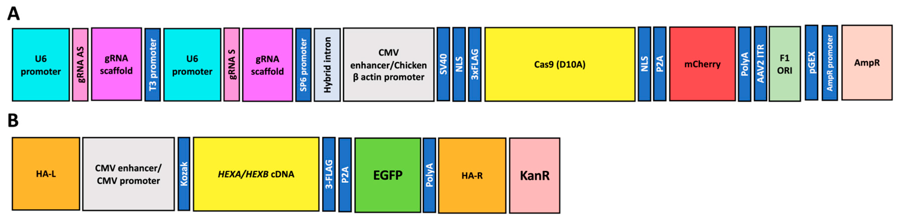 Pharmaceutics 17 00628 g001