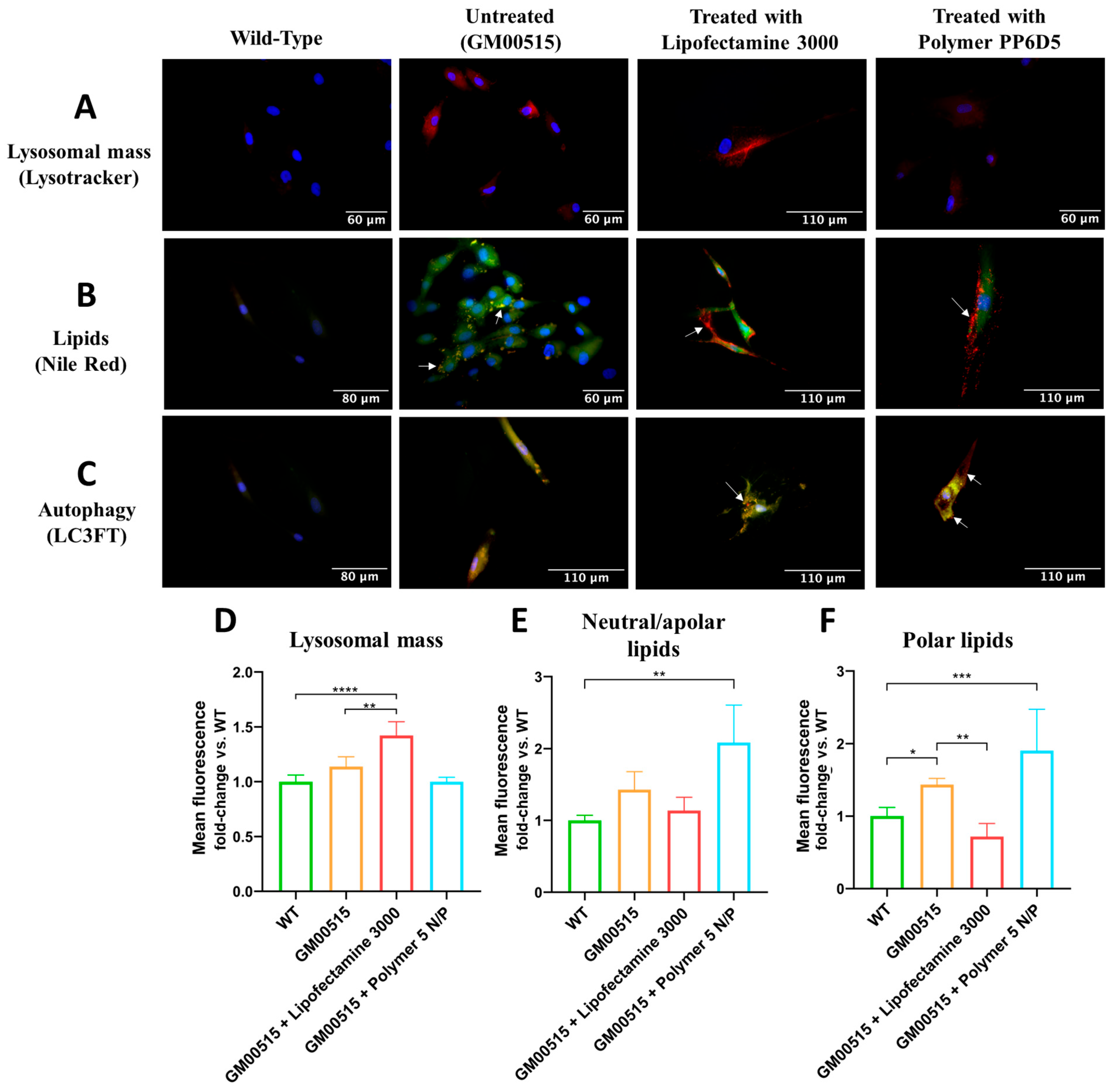 Pharmaceutics 17 00628 g005