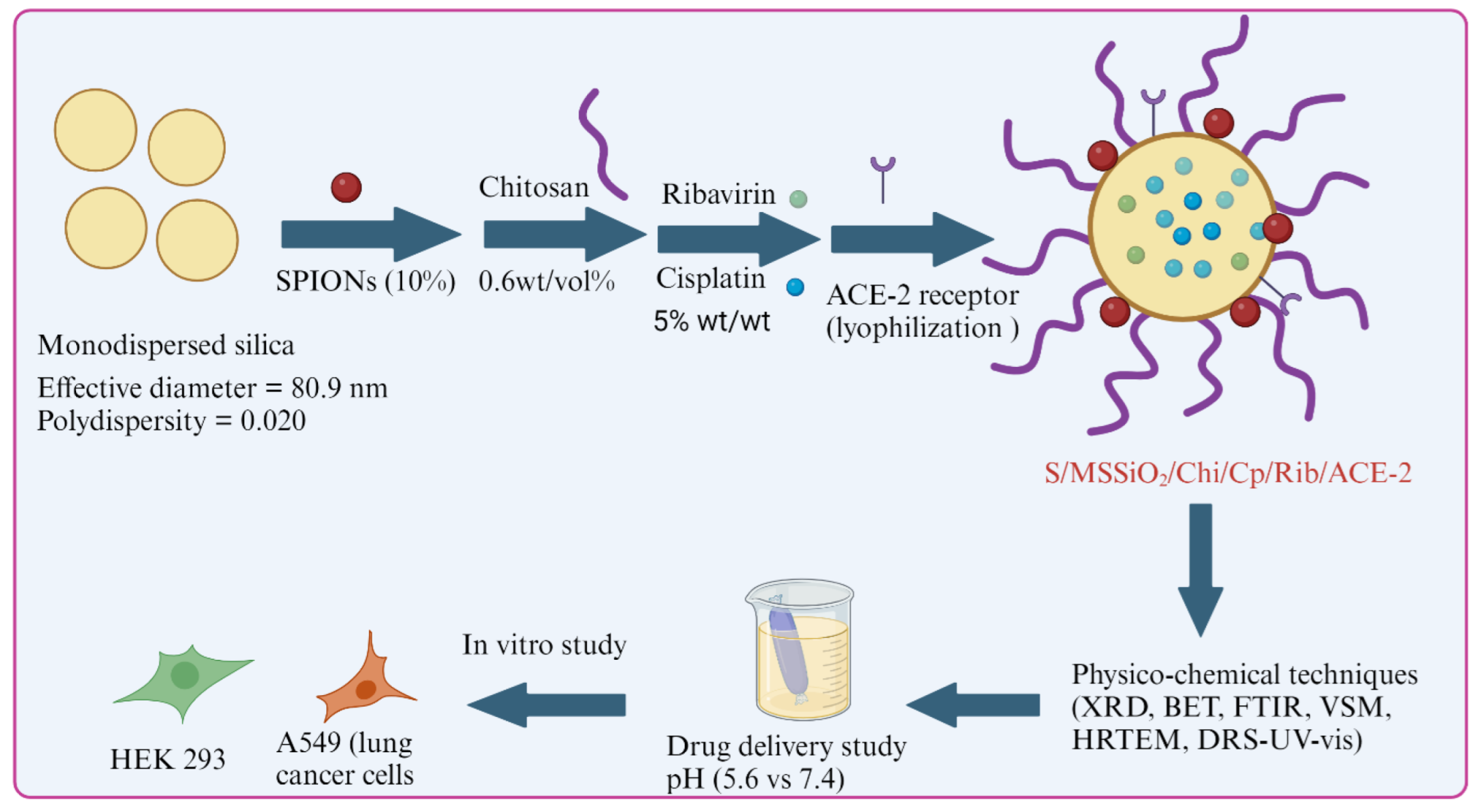 Pharmaceutics 17 00631 sch001
