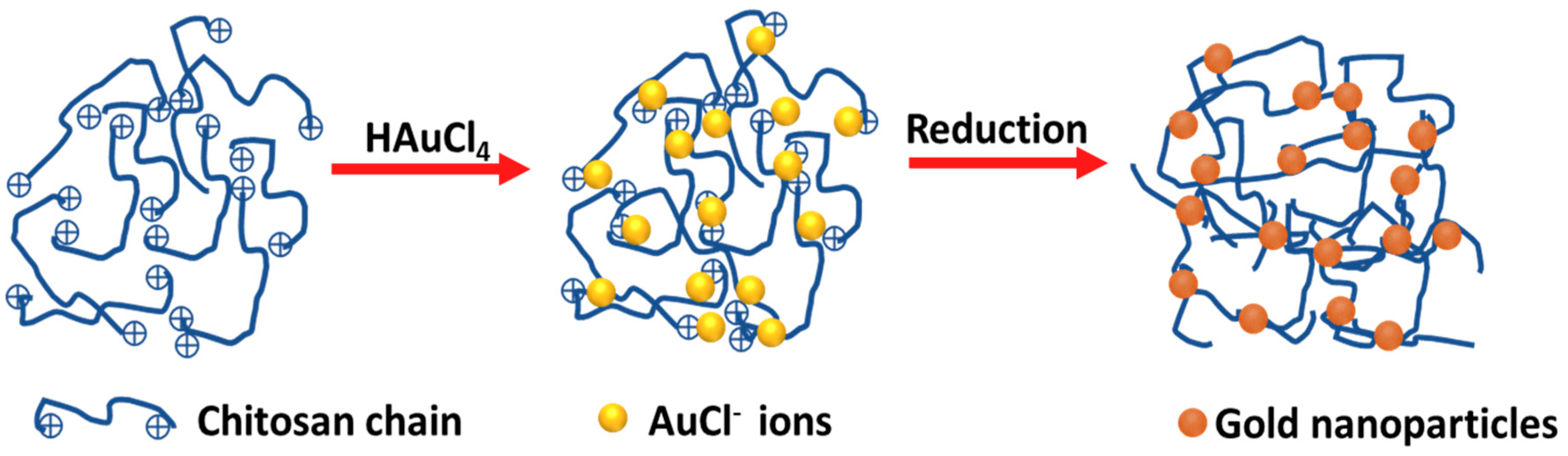 Pharmaceutics 17 00633 g001