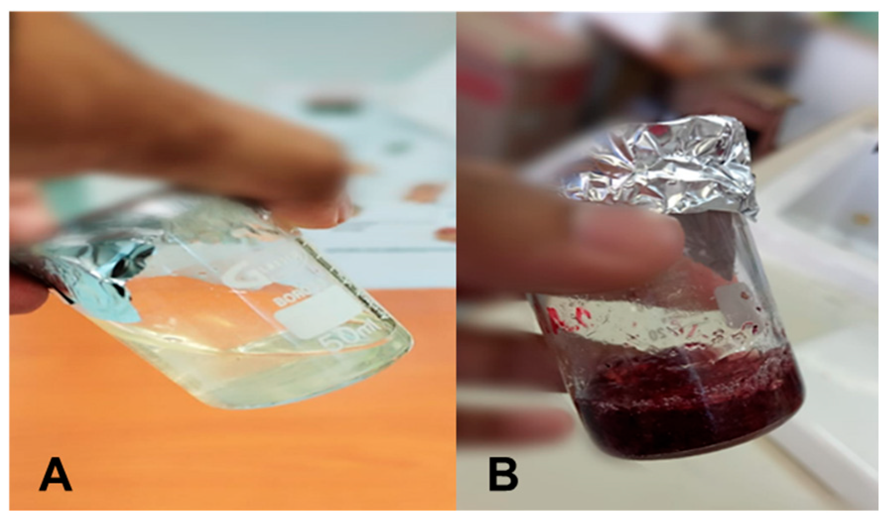 Pharmaceutics 17 00633 g002
