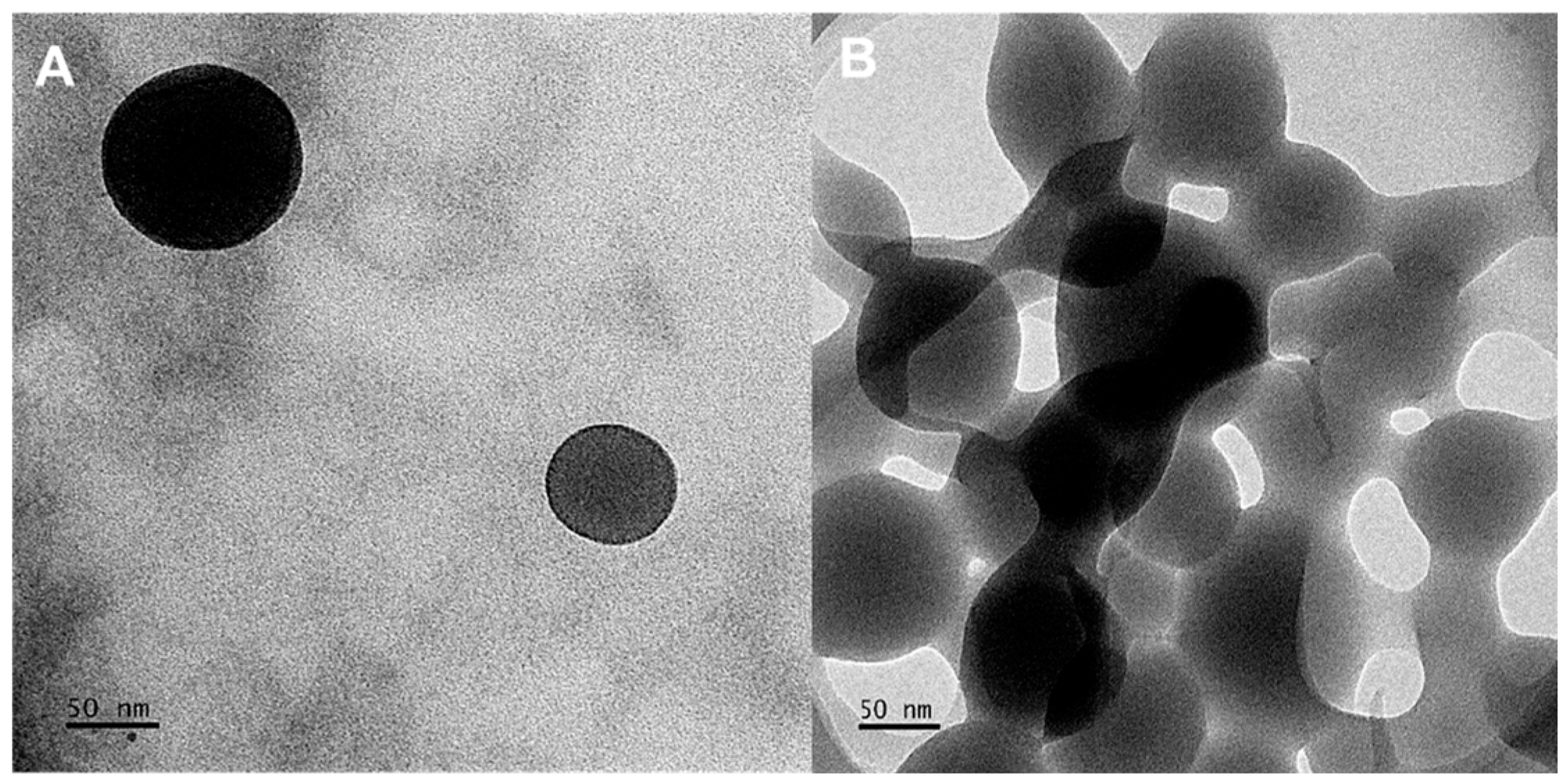 Pharmaceutics 17 00633 g005