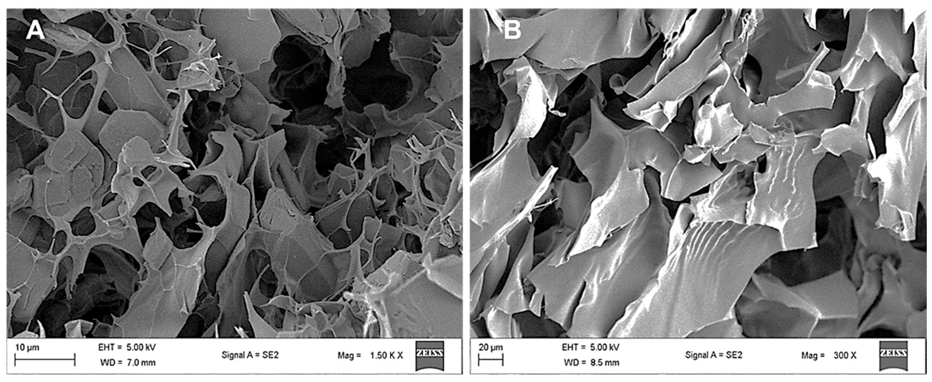 Pharmaceutics 17 00633 g006