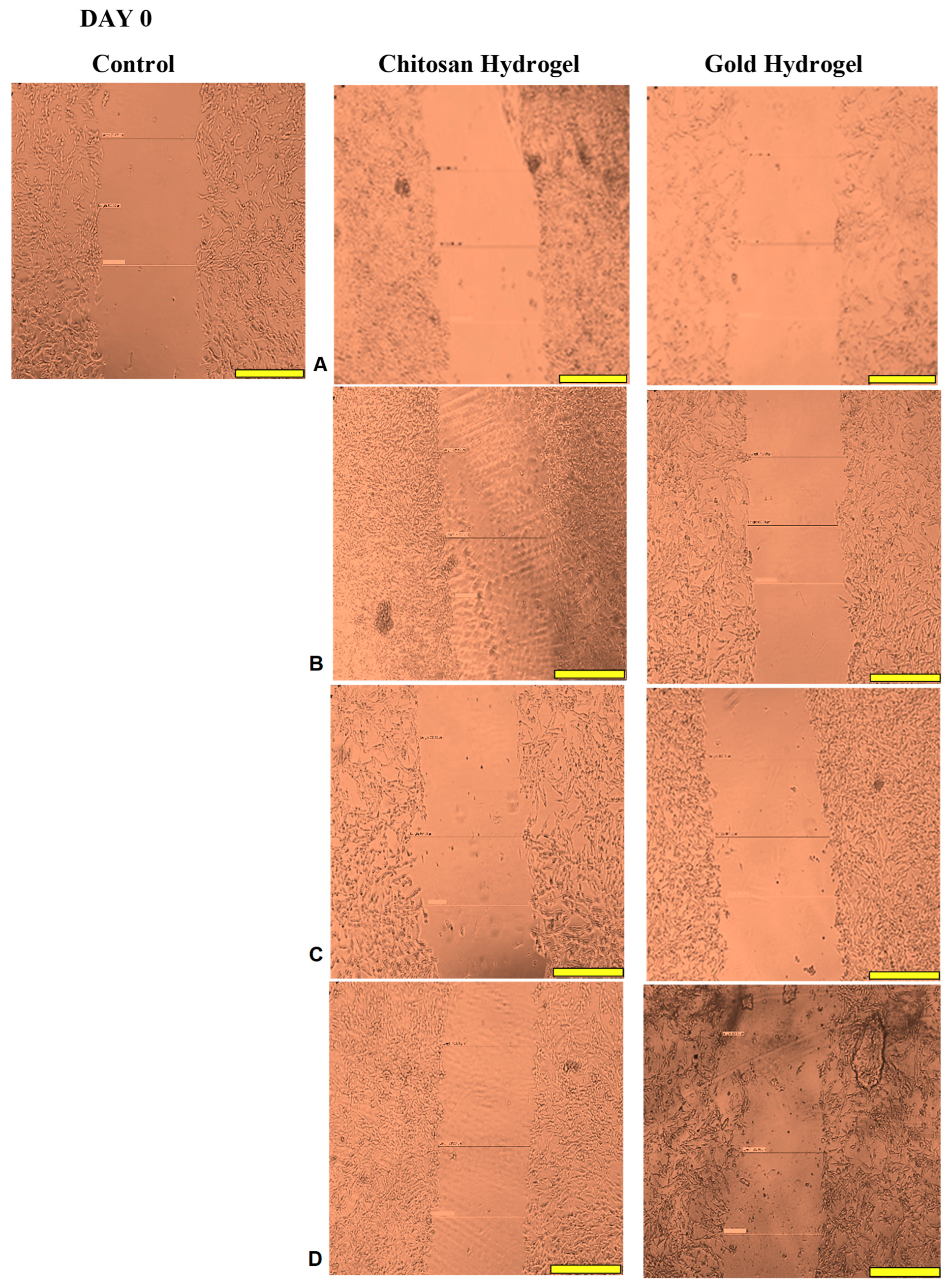 Pharmaceutics 17 00633 g014