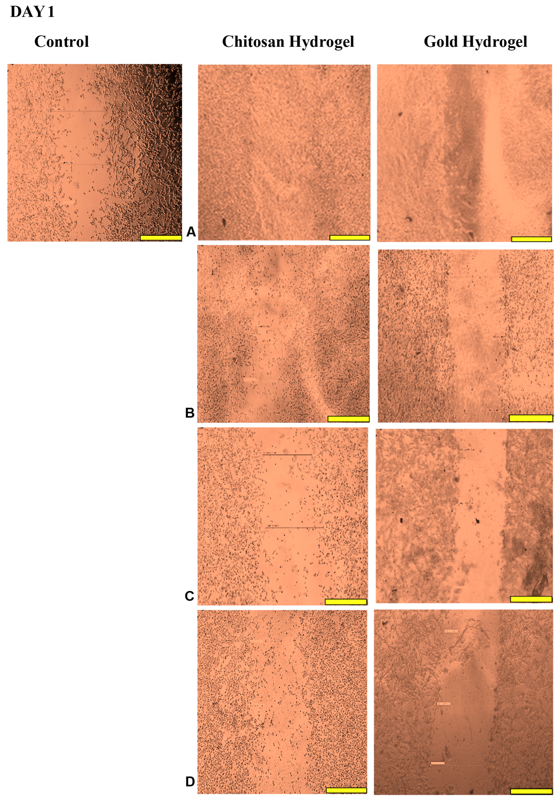 Pharmaceutics 17 00633 g015