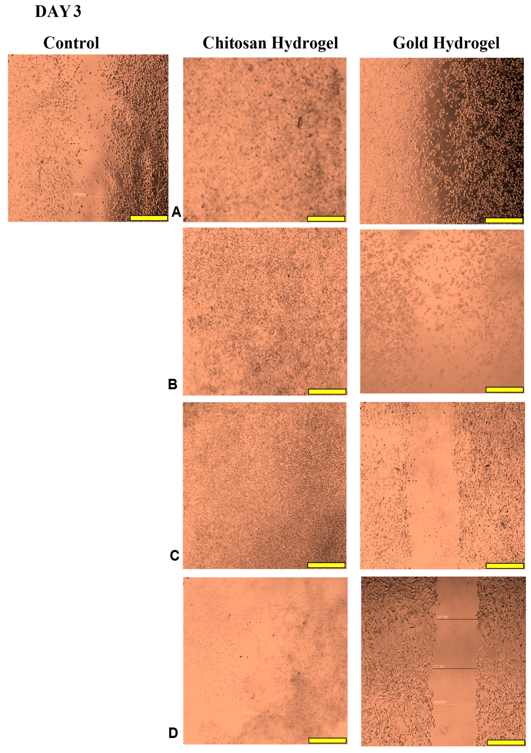 Pharmaceutics 17 00633 g017