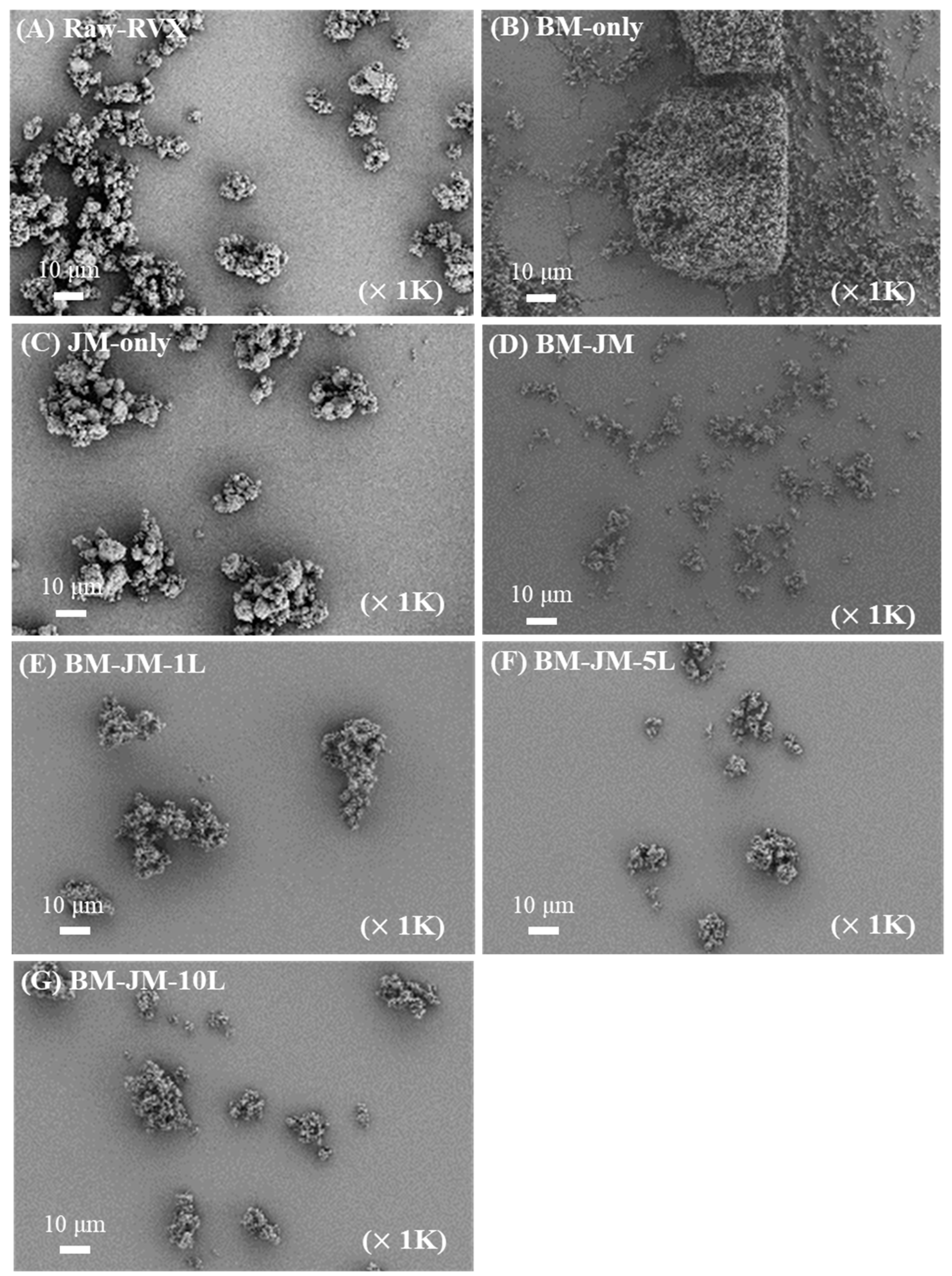 Pharmaceutics 17 00634 g001 Pharmaceutics 17 00634 g001
