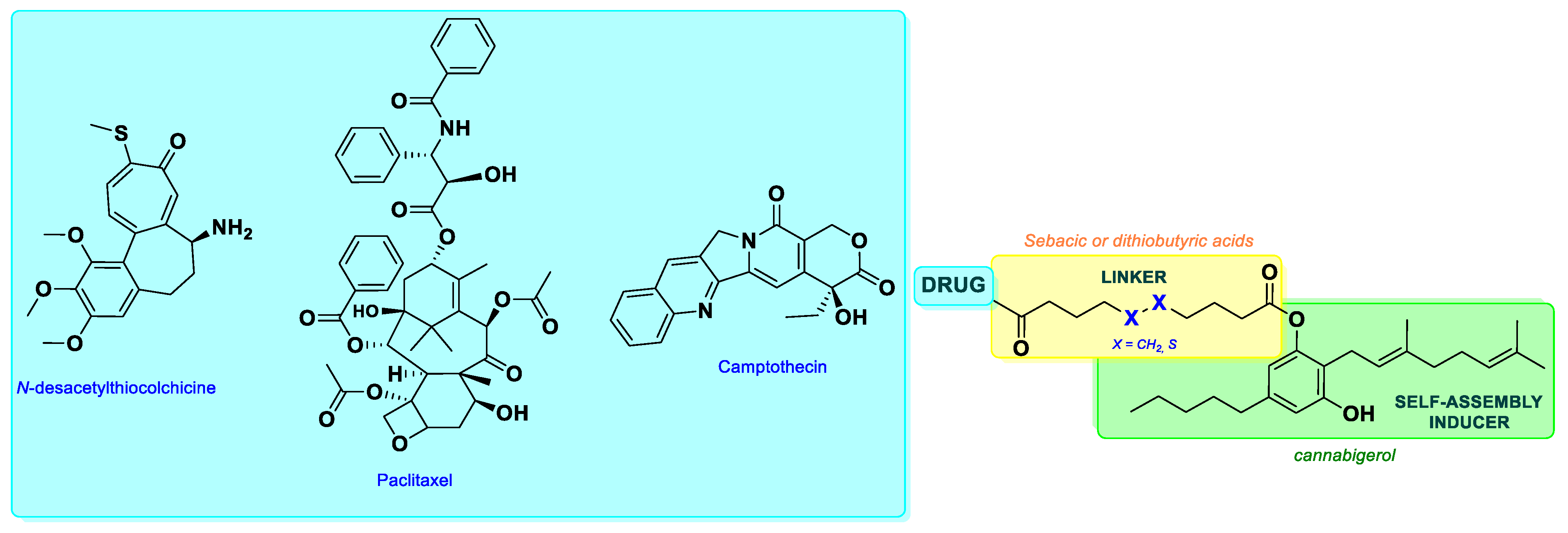 Pharmaceutics 17 00636 g001