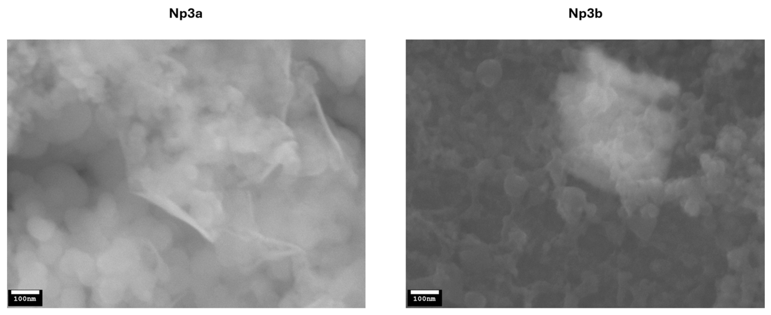 Pharmaceutics 17 00636 g002