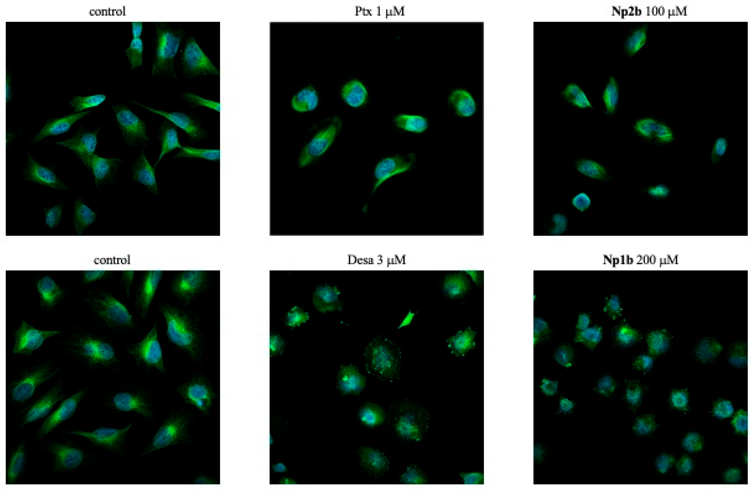 Pharmaceutics 17 00636 g003
