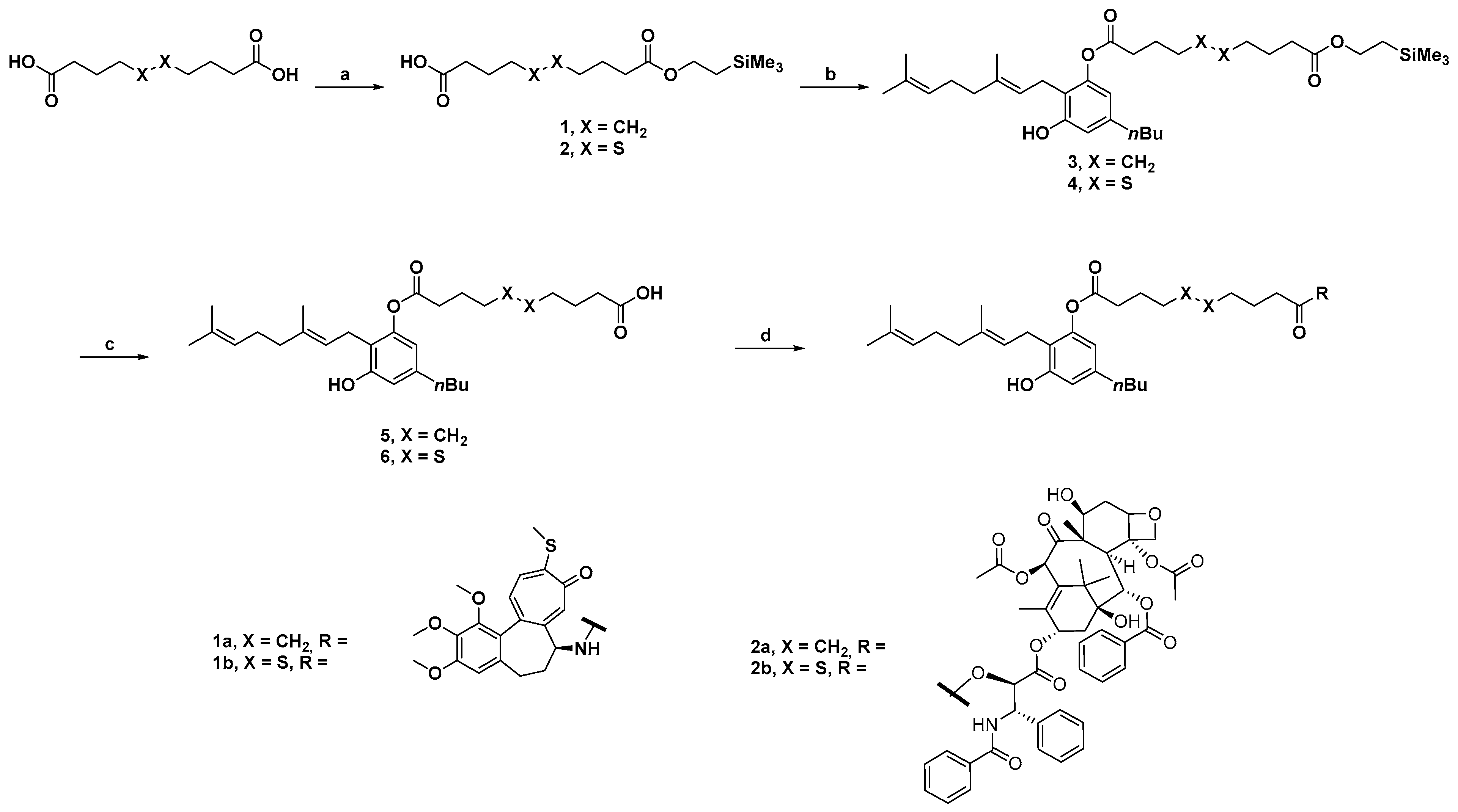 Pharmaceutics 17 00636 sch001