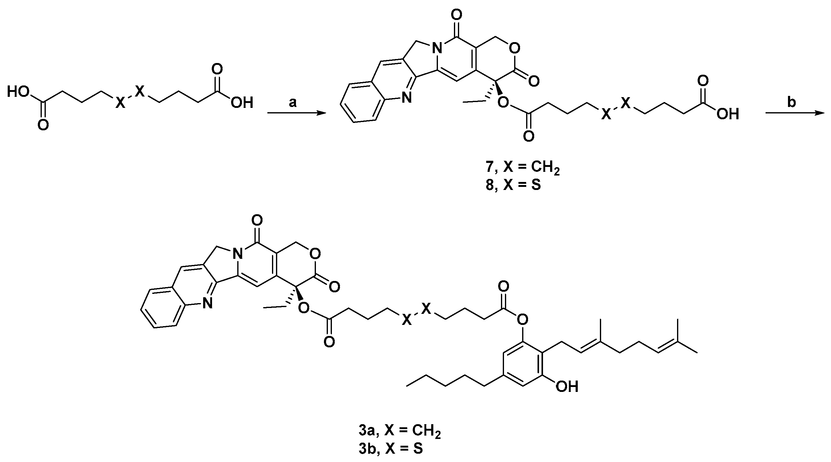 Pharmaceutics 17 00636 sch002