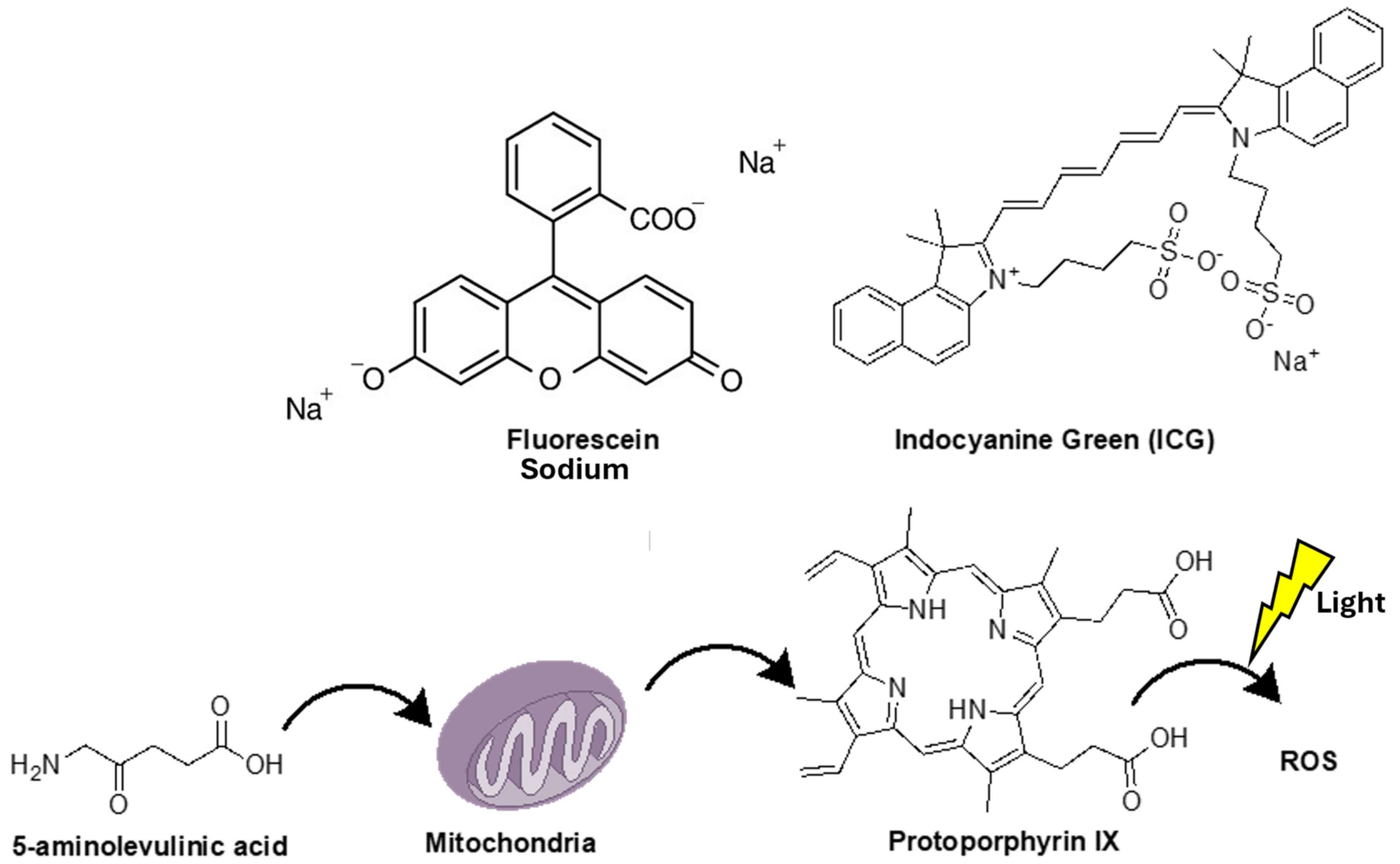 Pharmaceutics 17 00637 g001 Pharmaceutics 17 00637 g001