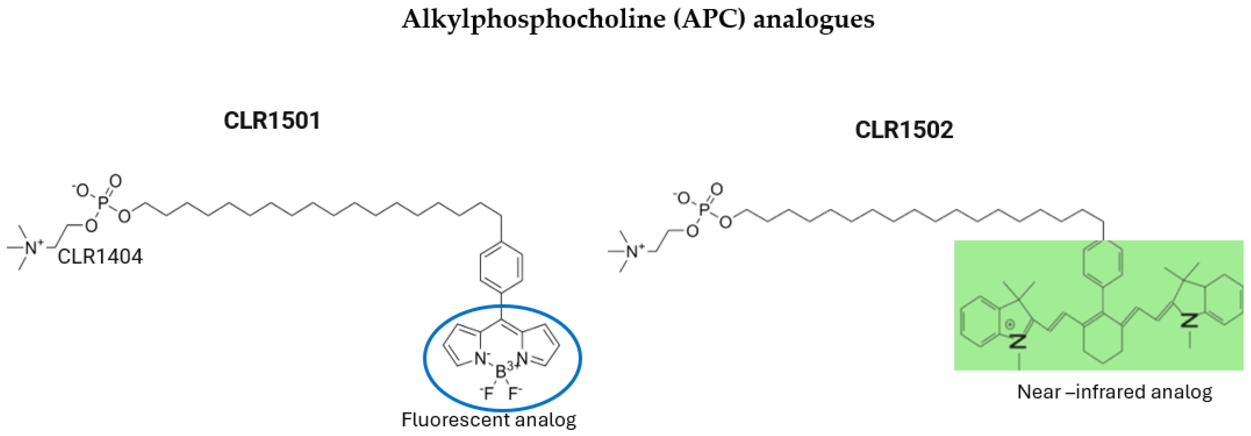 Pharmaceutics 17 00637 g003 Pharmaceutics 17 00637 g003