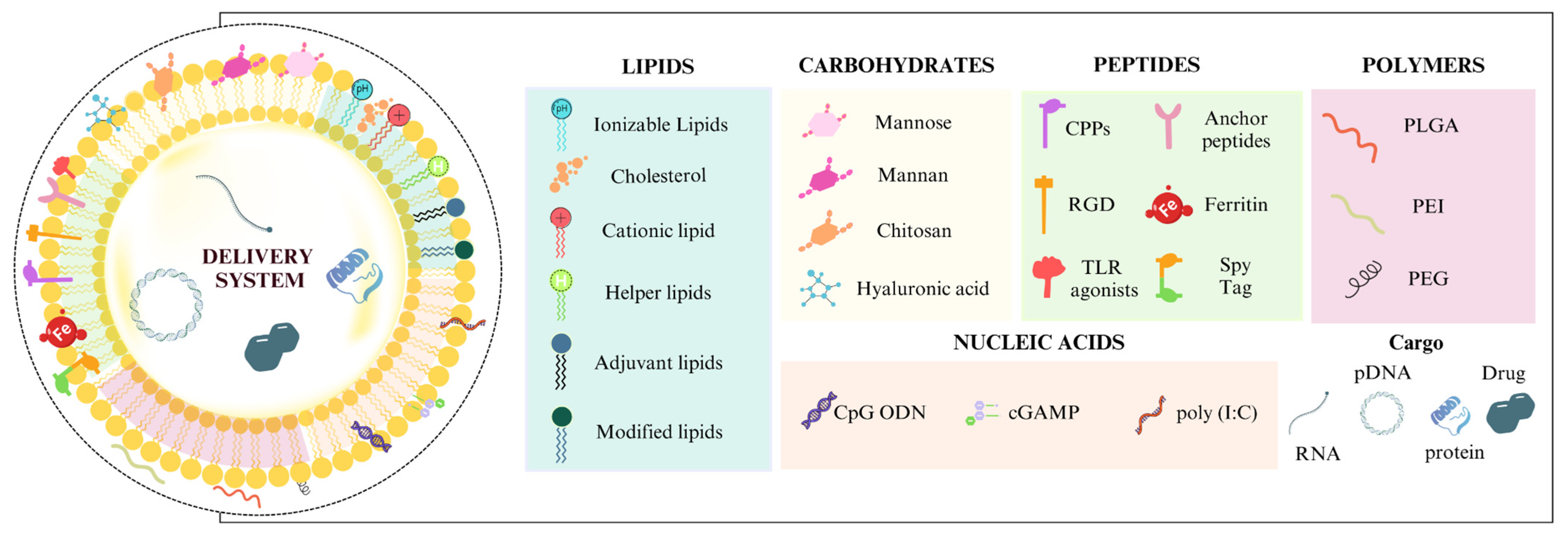 Pharmaceutics 17 00640 g001