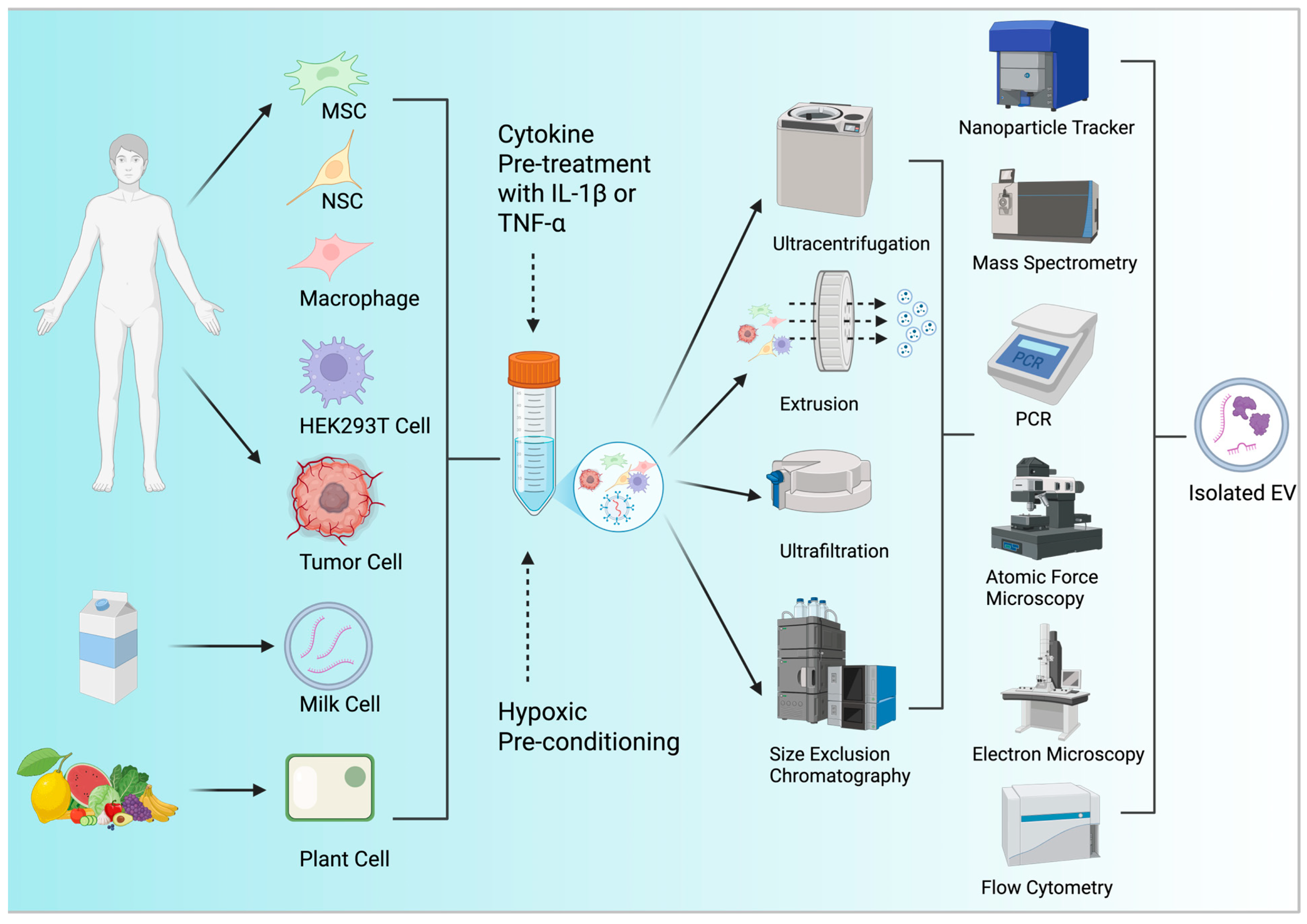 Pharmaceutics 17 00641 g002