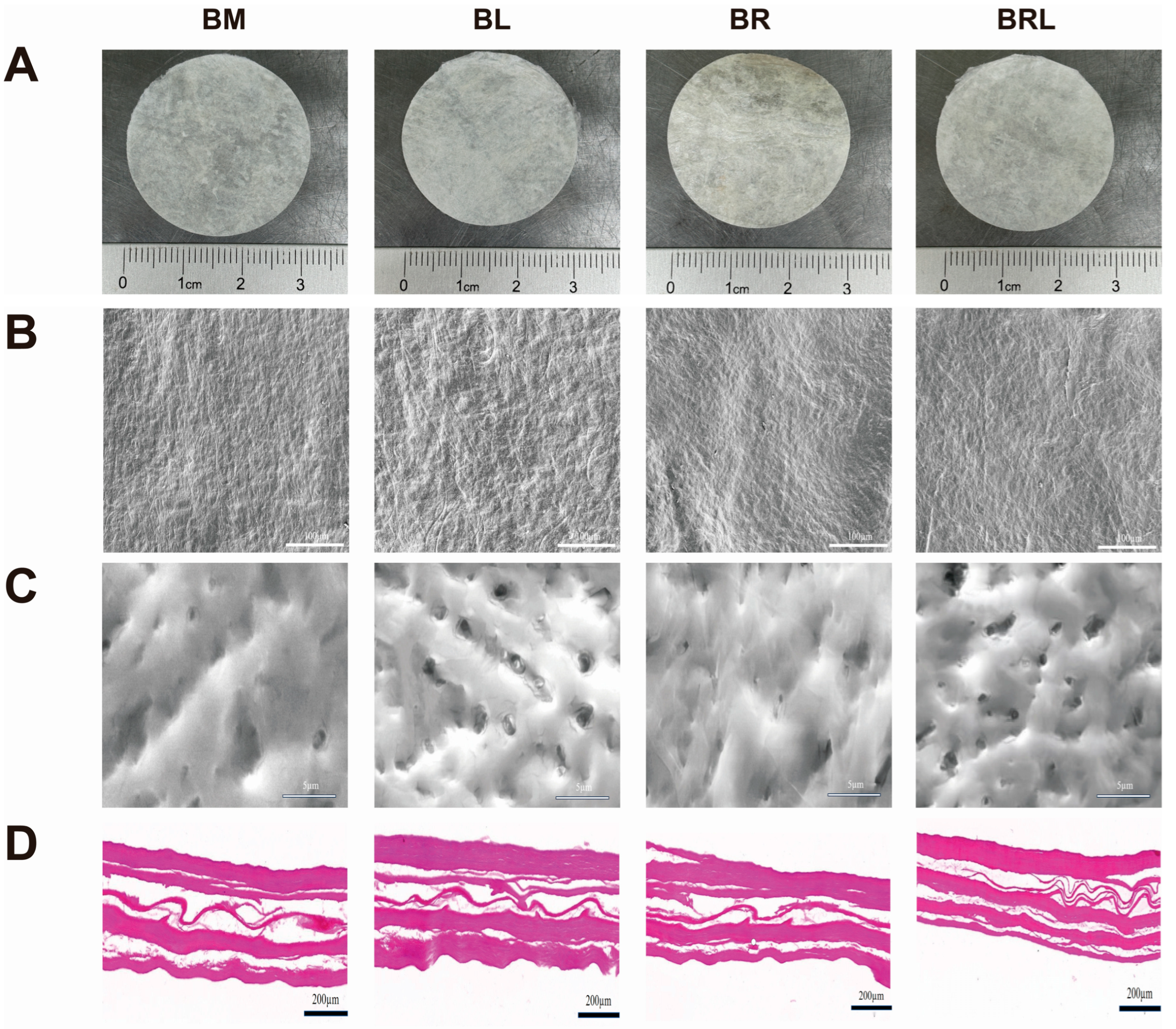 Pharmaceutics 17 00643 g001