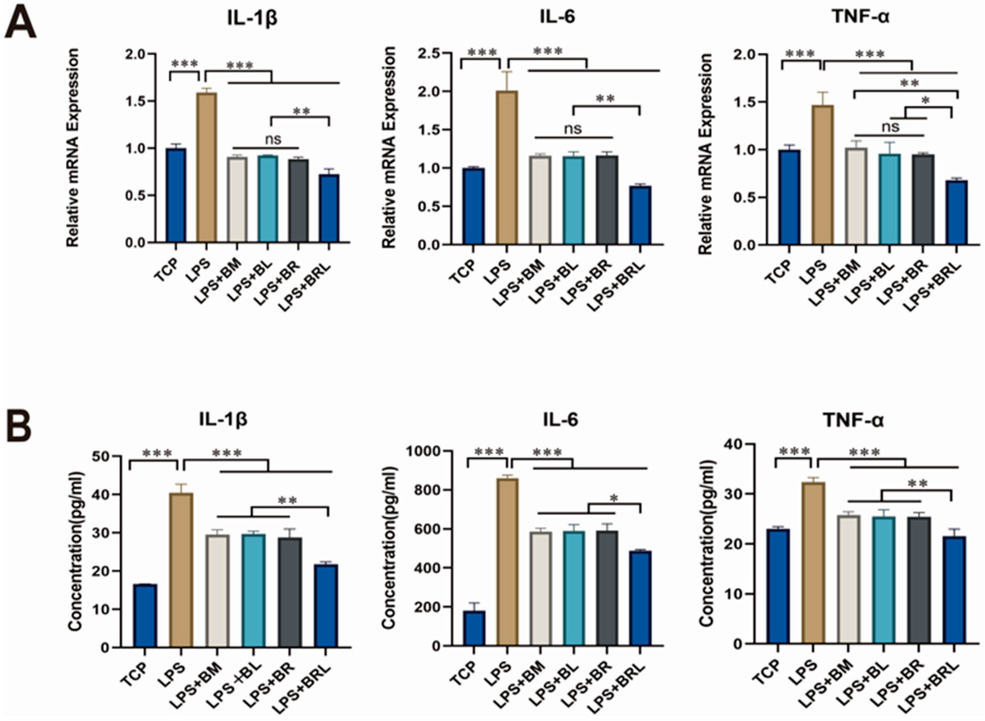 Pharmaceutics 17 00643 g005
