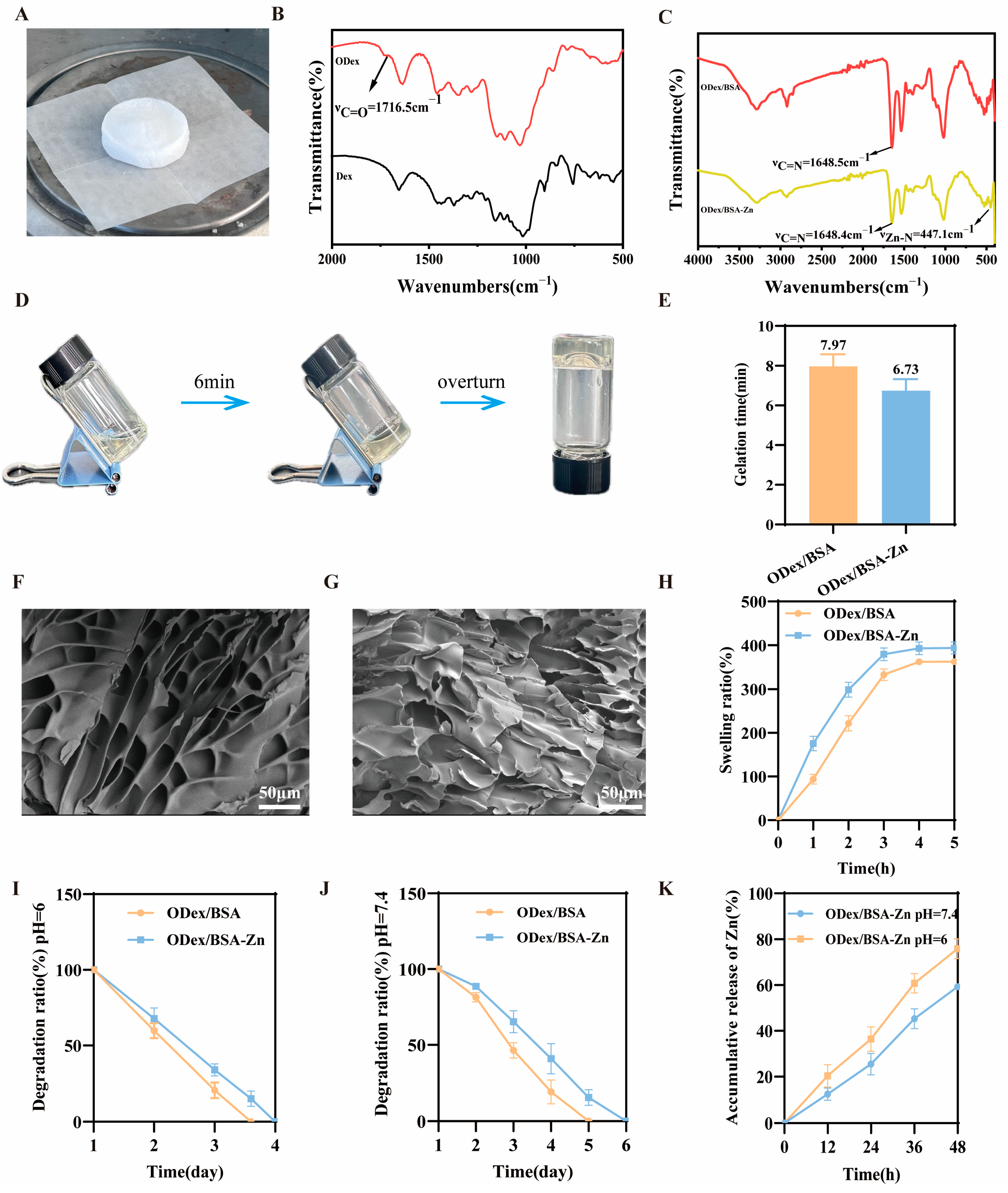 Pharmaceutics 17 00644 g001