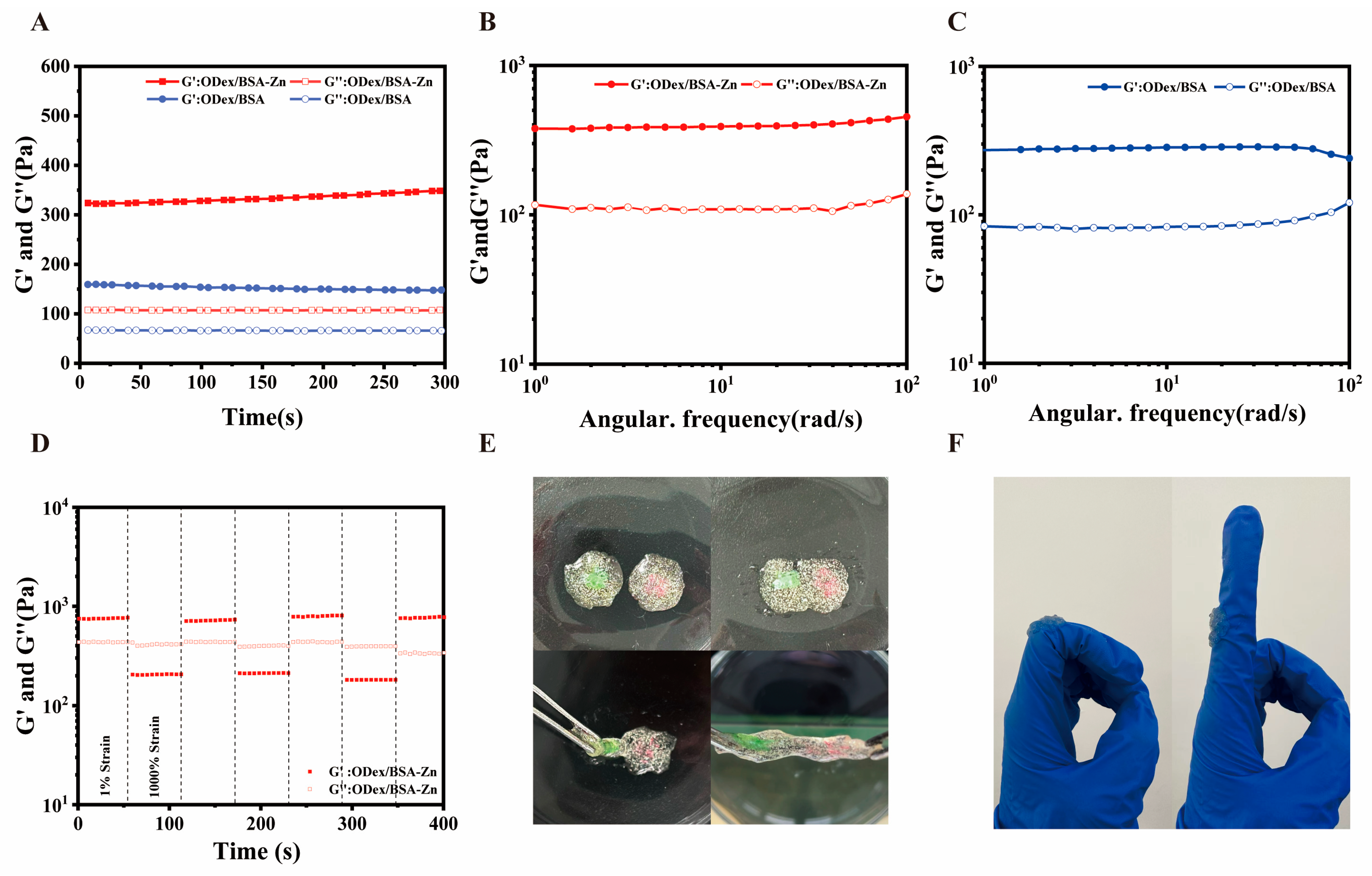 Pharmaceutics 17 00644 g002