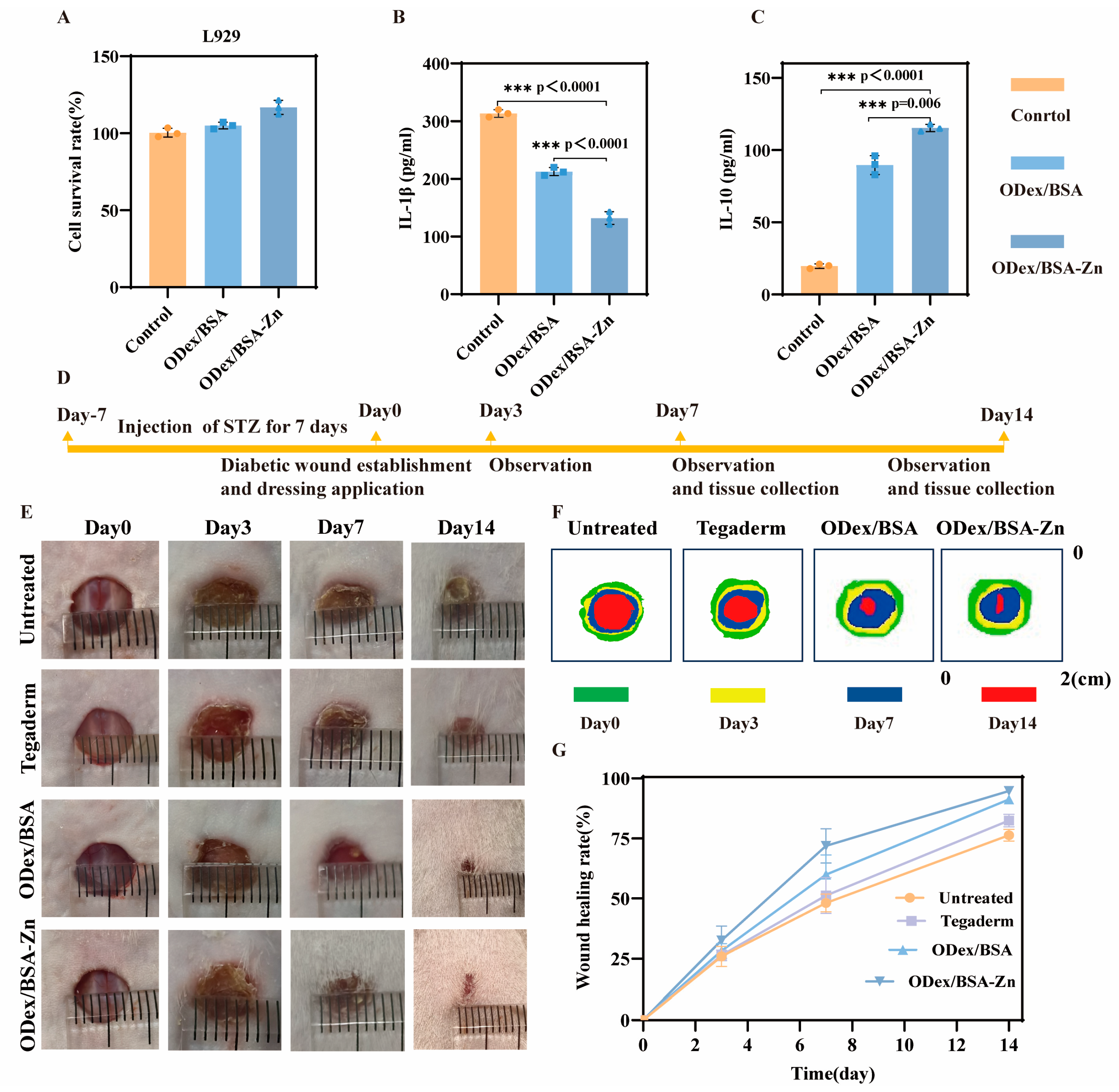 Pharmaceutics 17 00644 g003