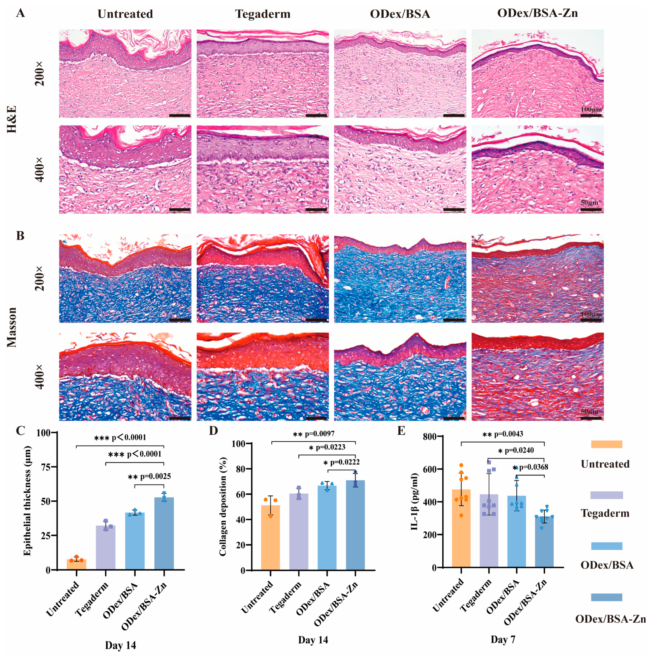 Pharmaceutics 17 00644 g004