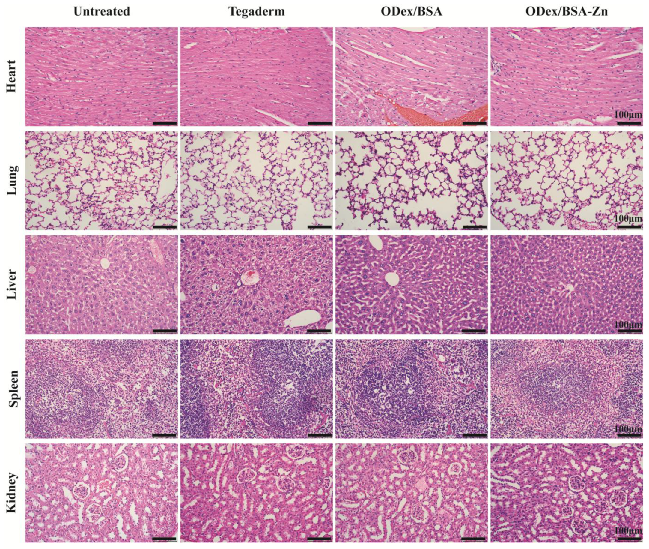 Pharmaceutics 17 00644 g006