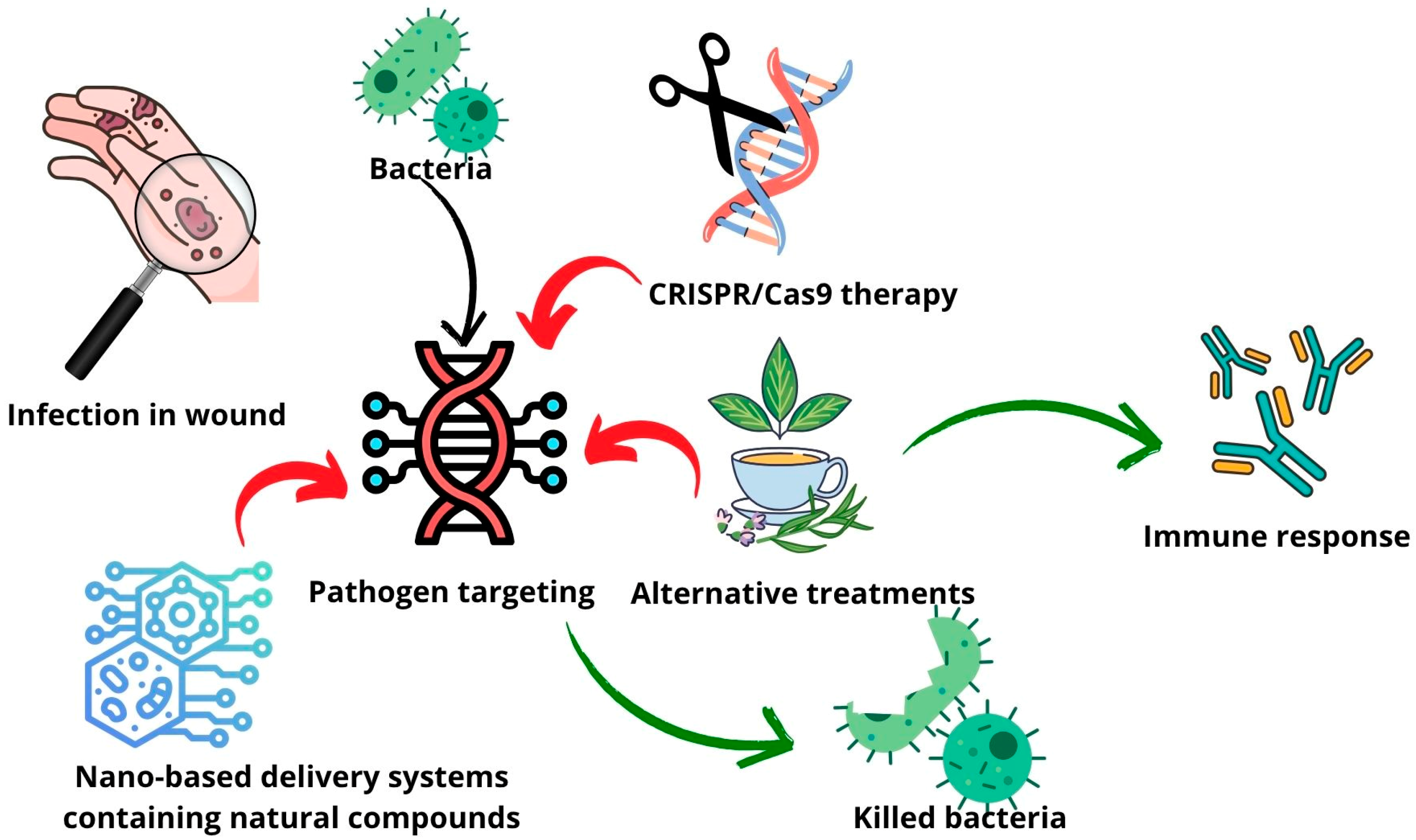 Pharmaceutics 17 00648 g004