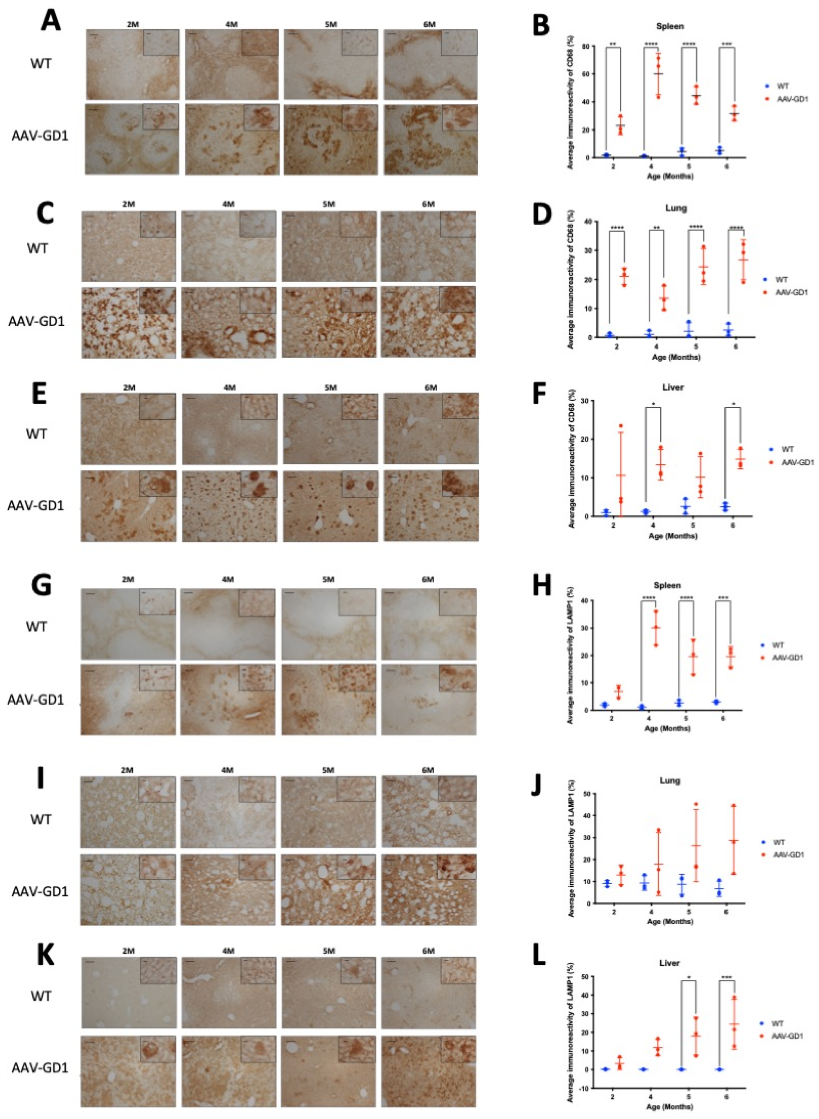 Pharmaceutics 17 00650 g003