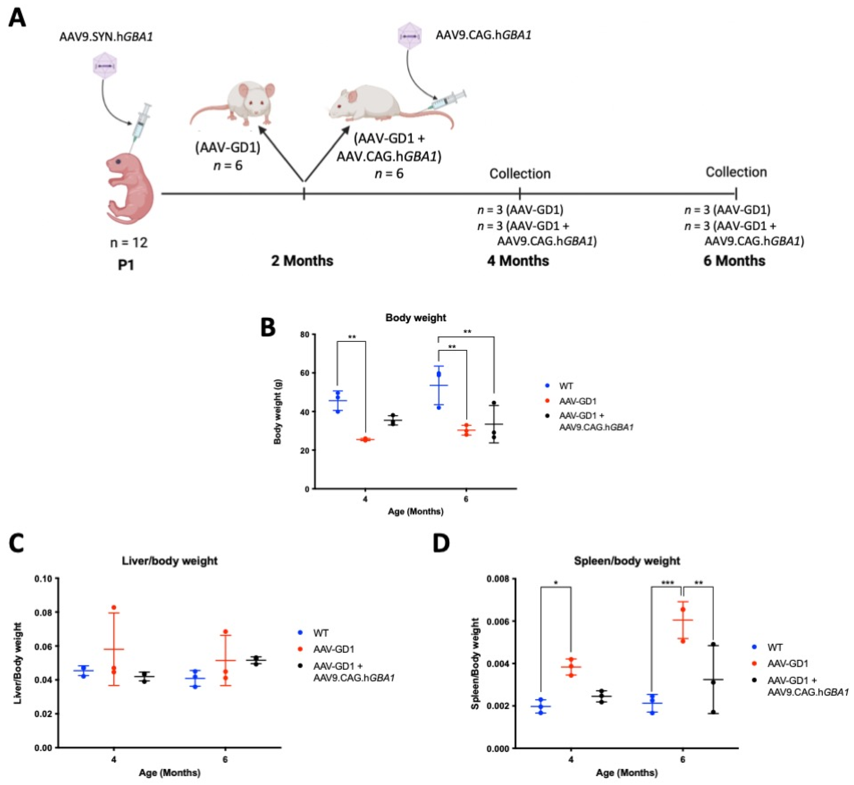 Pharmaceutics 17 00650 g005