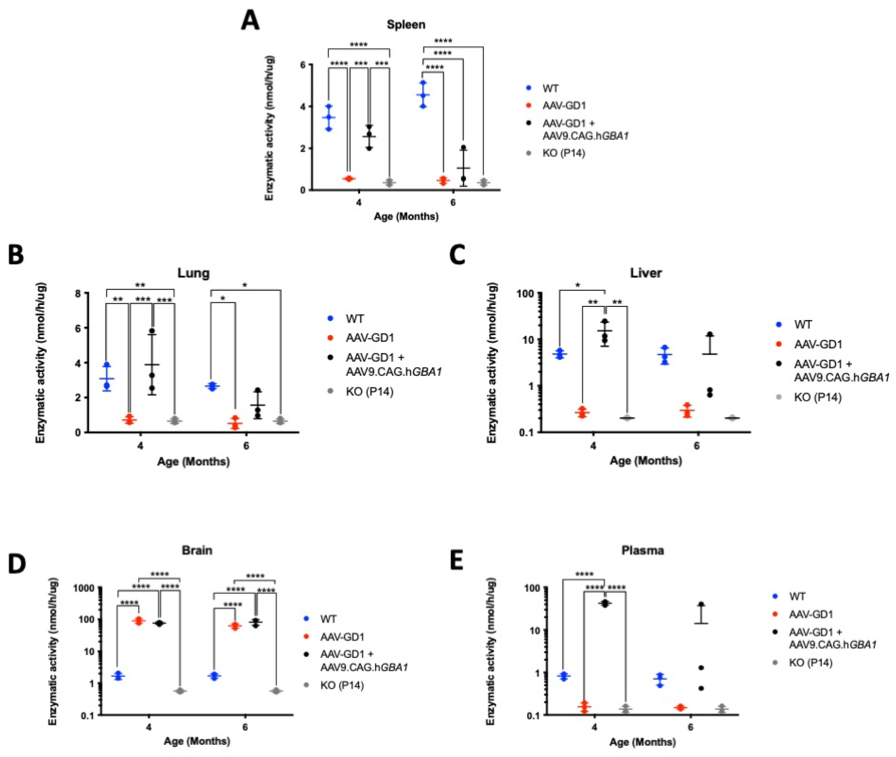 Pharmaceutics 17 00650 g009