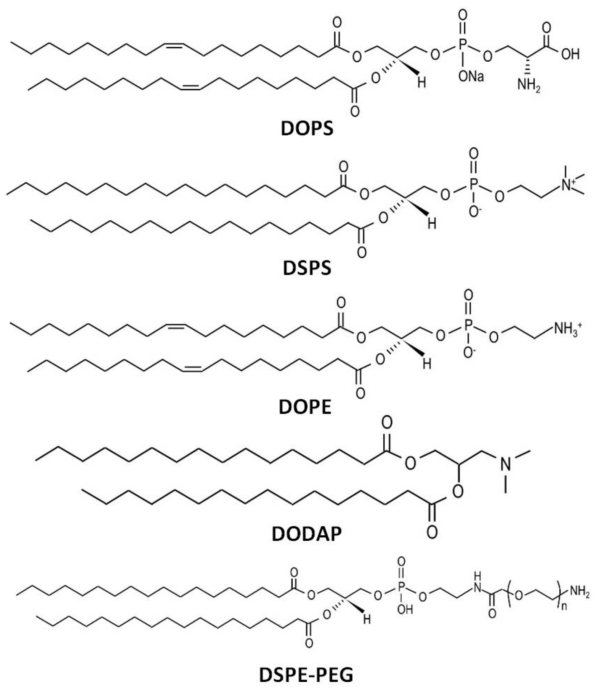 Pharmaceutics 17 00651 g002