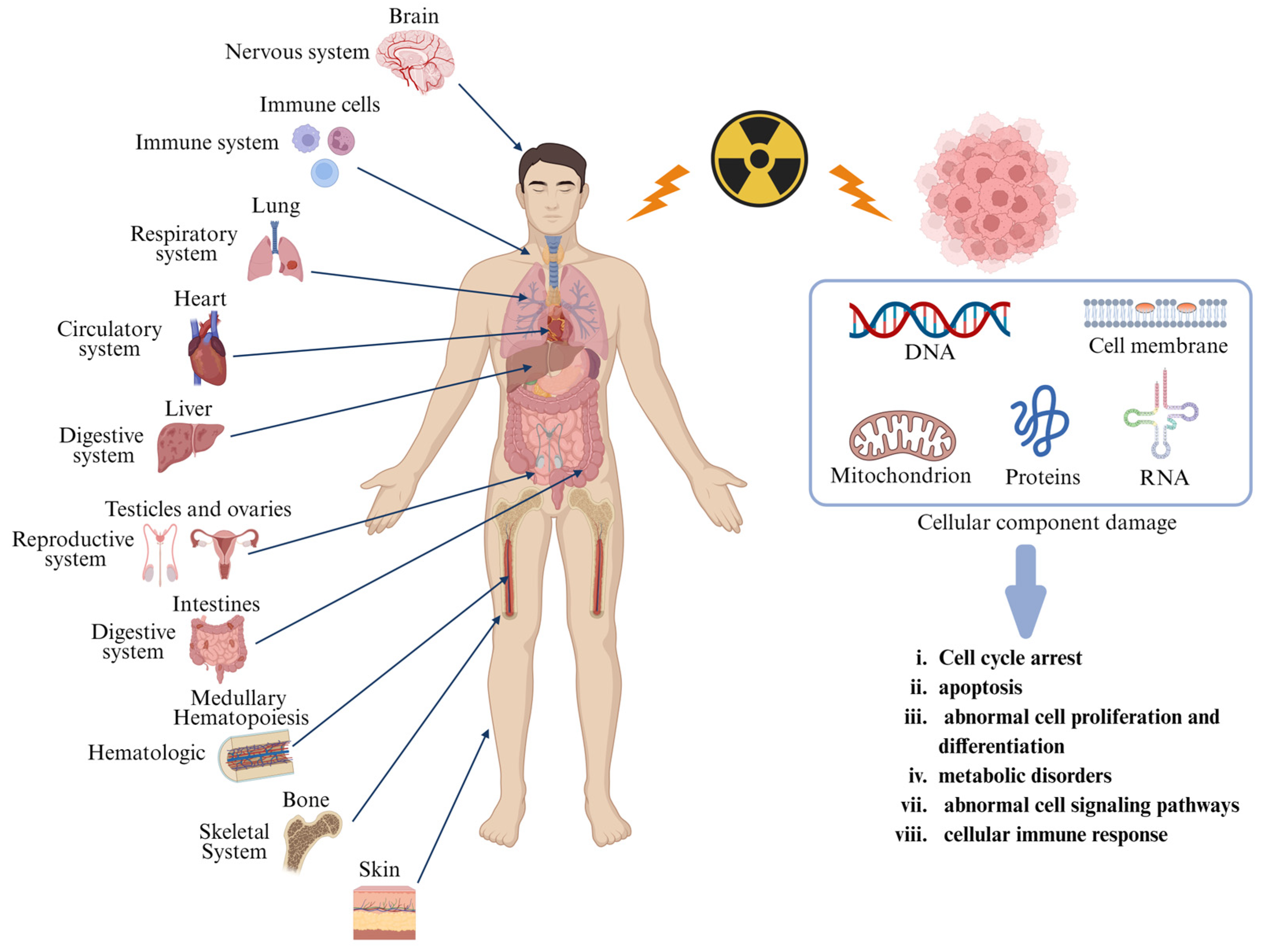 Pharmaceutics 17 00652 g001