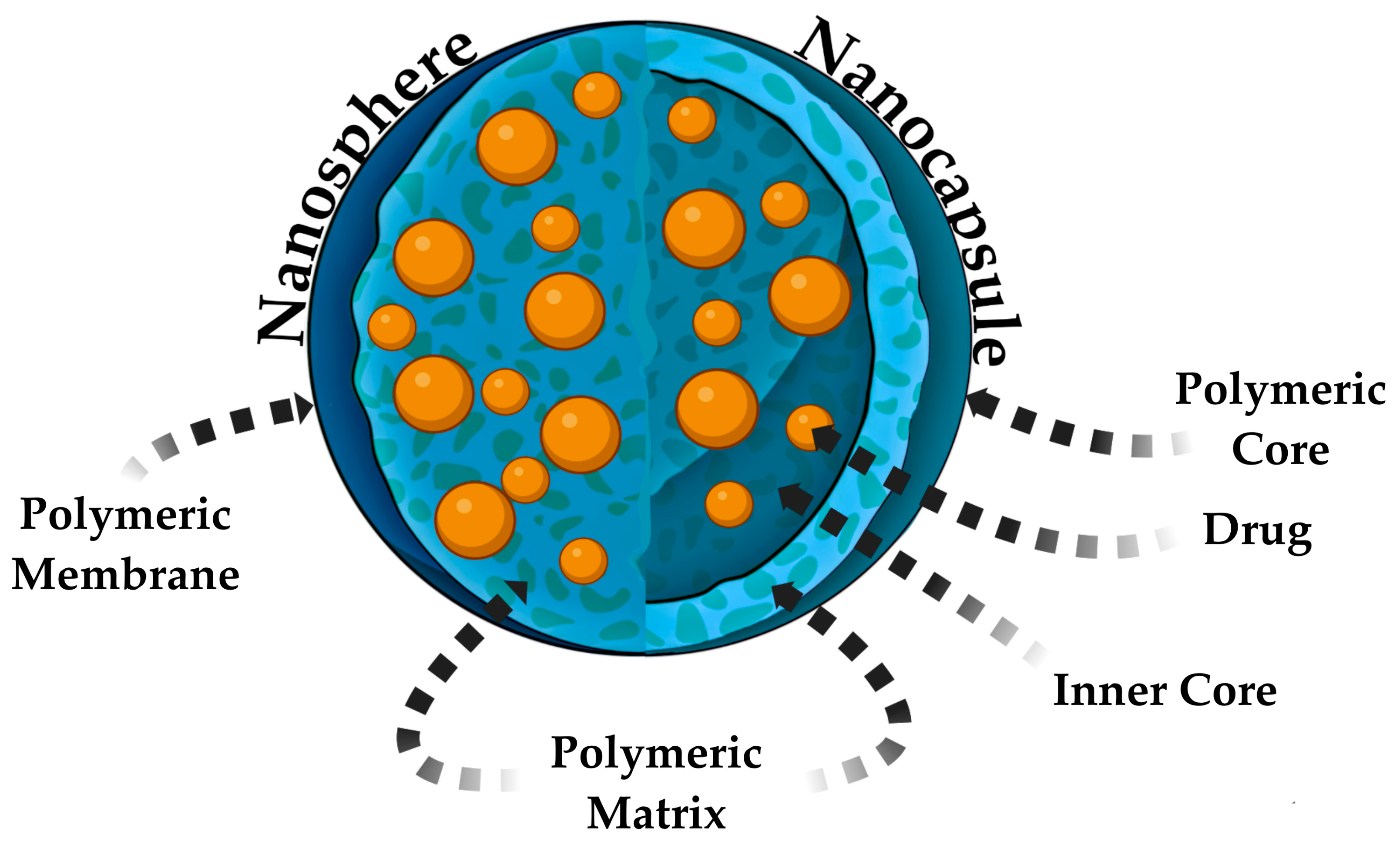 Pharmaceutics 17 00655 g003