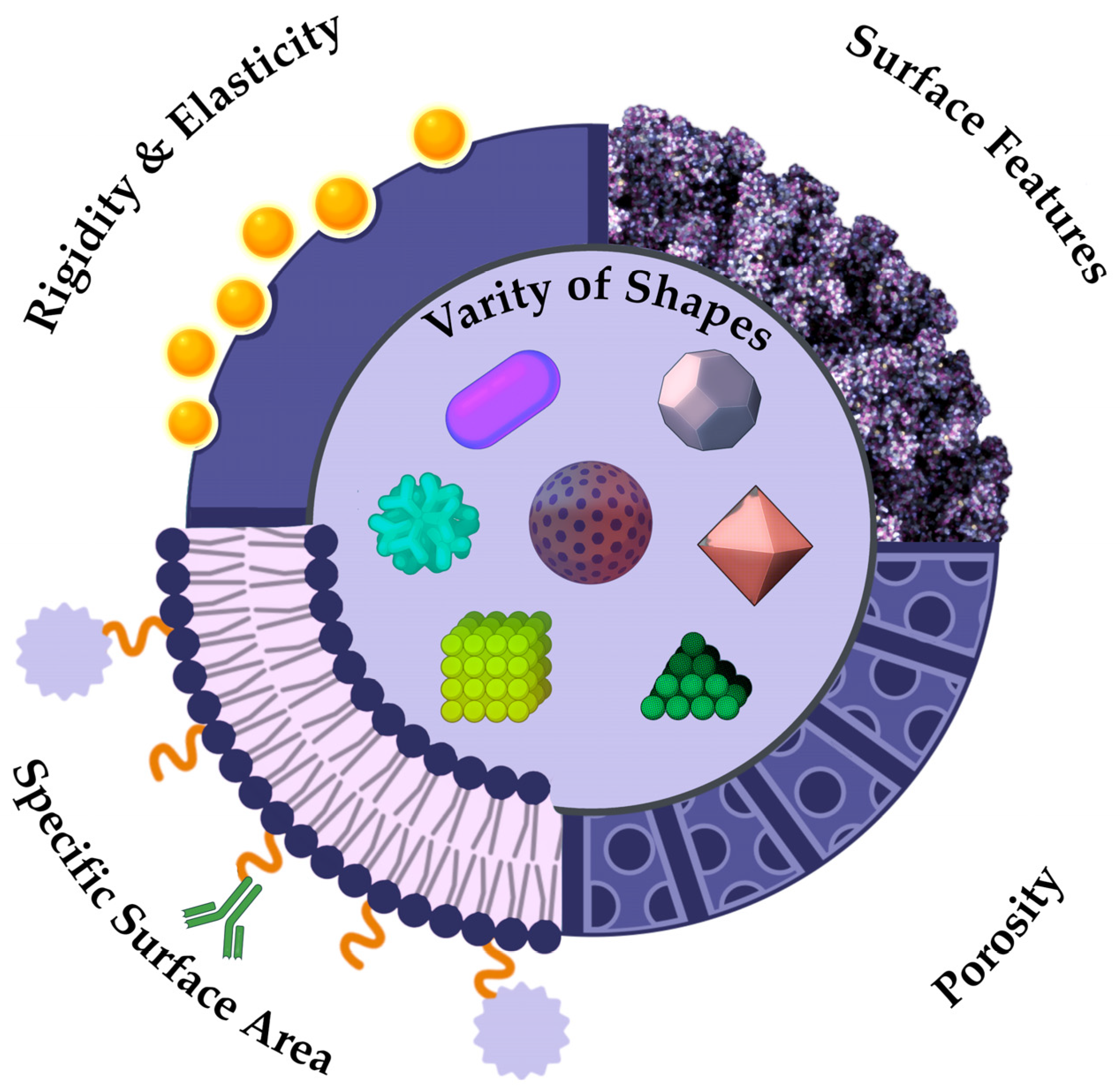 Pharmaceutics 17 00655 g004