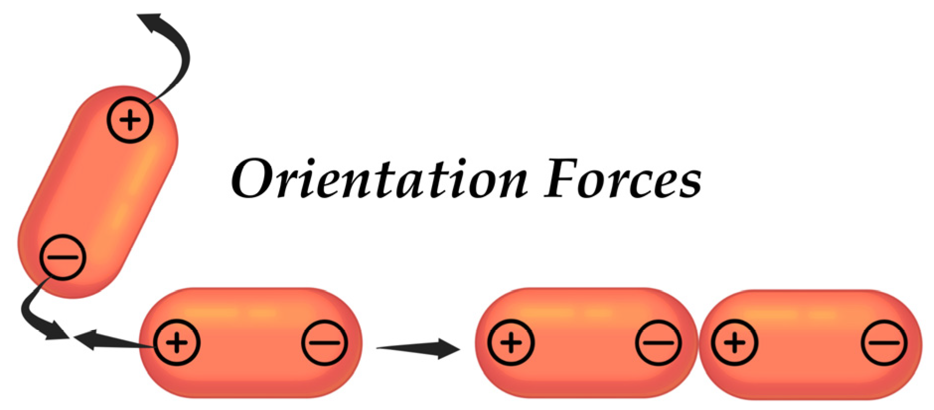 Pharmaceutics 17 00655 g005