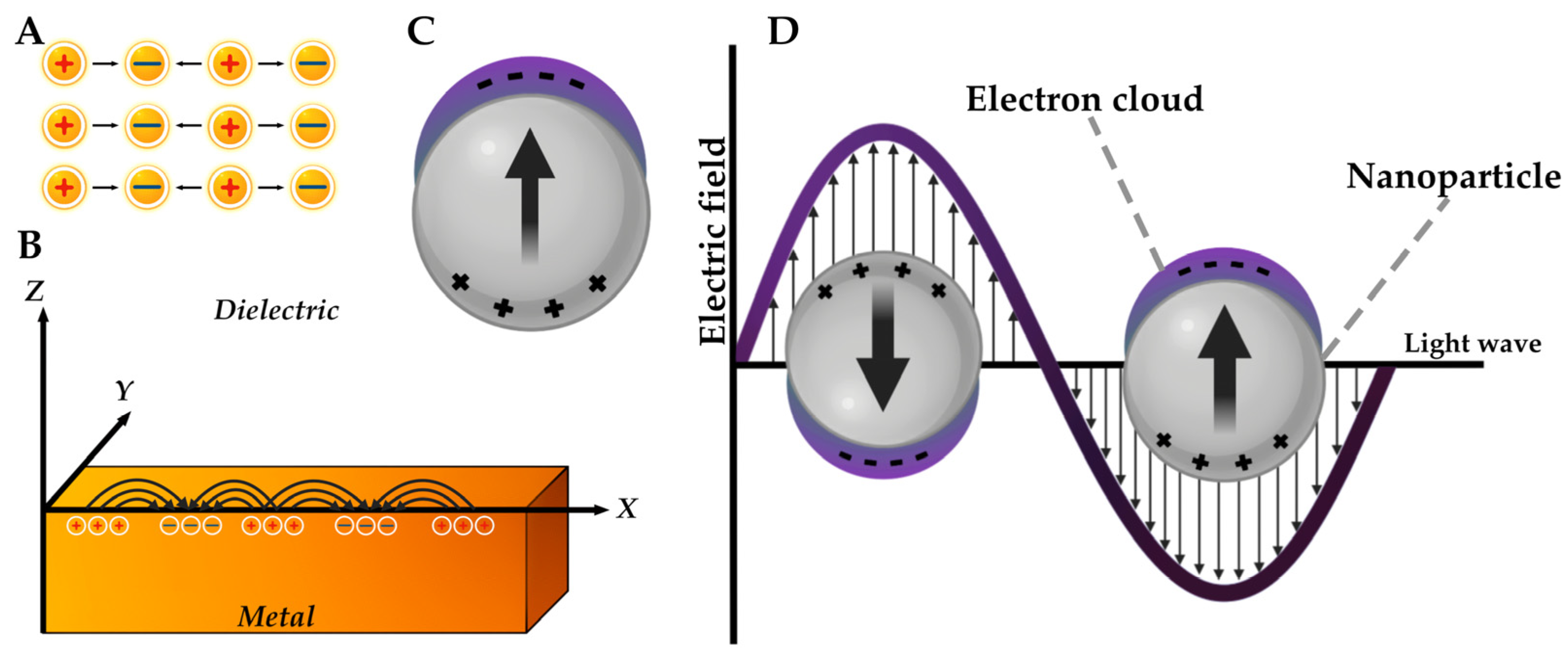 Pharmaceutics 17 00655 g009
