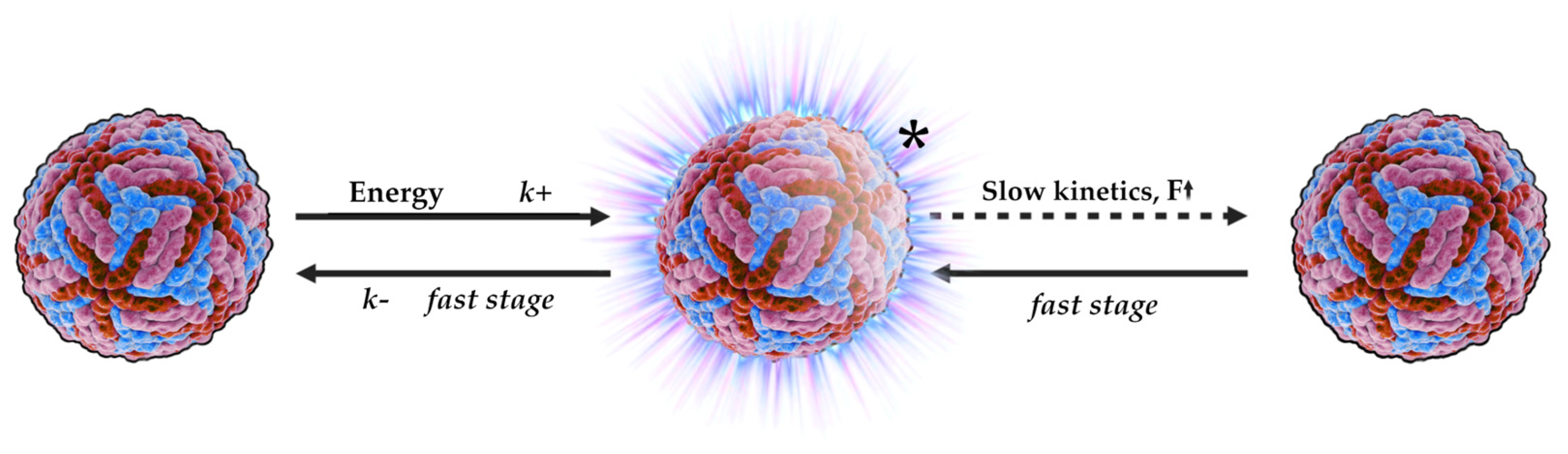 Pharmaceutics 17 00655 g010
