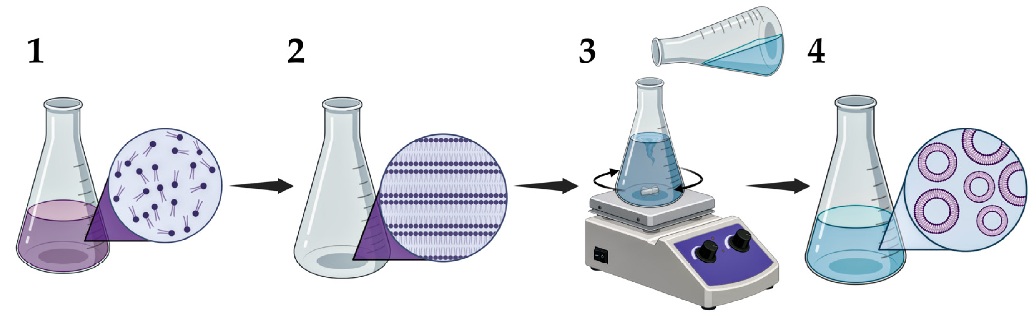 Pharmaceutics 17 00655 g011