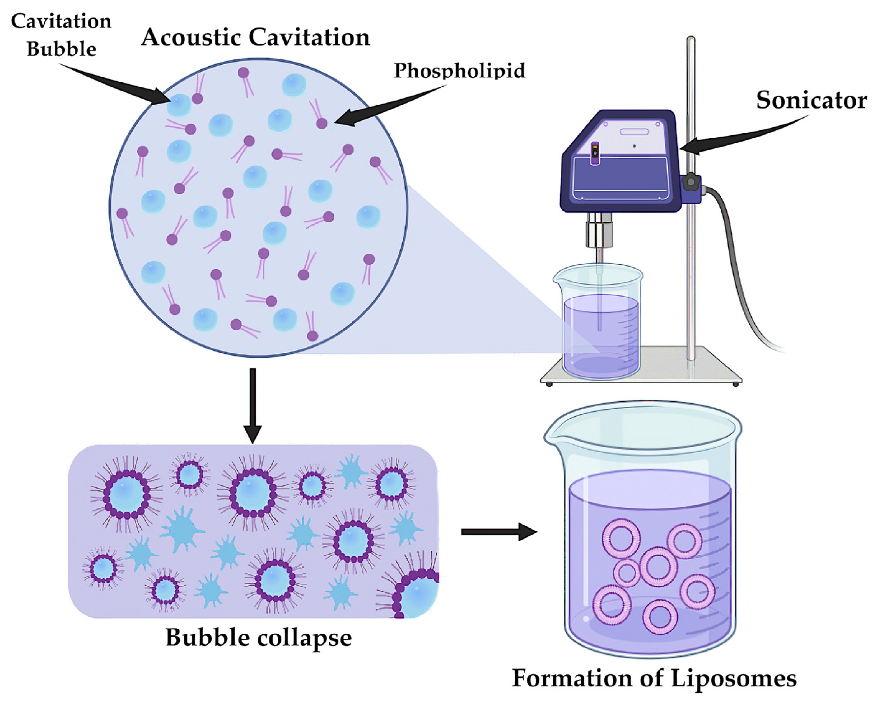 Pharmaceutics 17 00655 g012